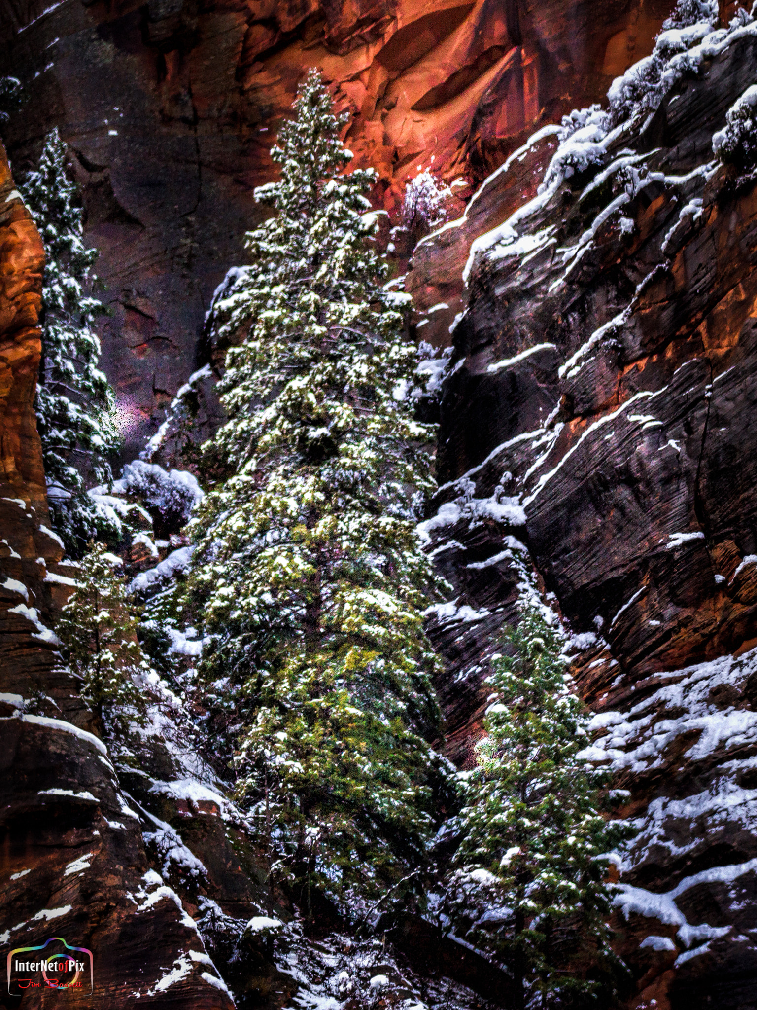 150-600mm F5-6.3 DG OS HSM | Contemporary 015 sample photo. Zion light photography