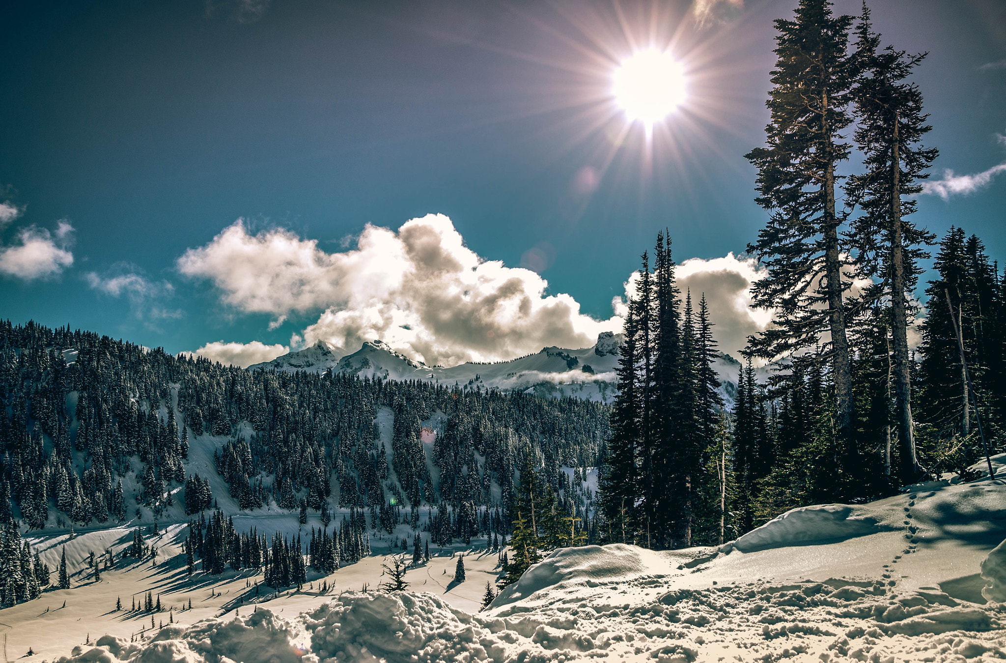 Nikon D800 sample photo. Bright day at rainier photography
