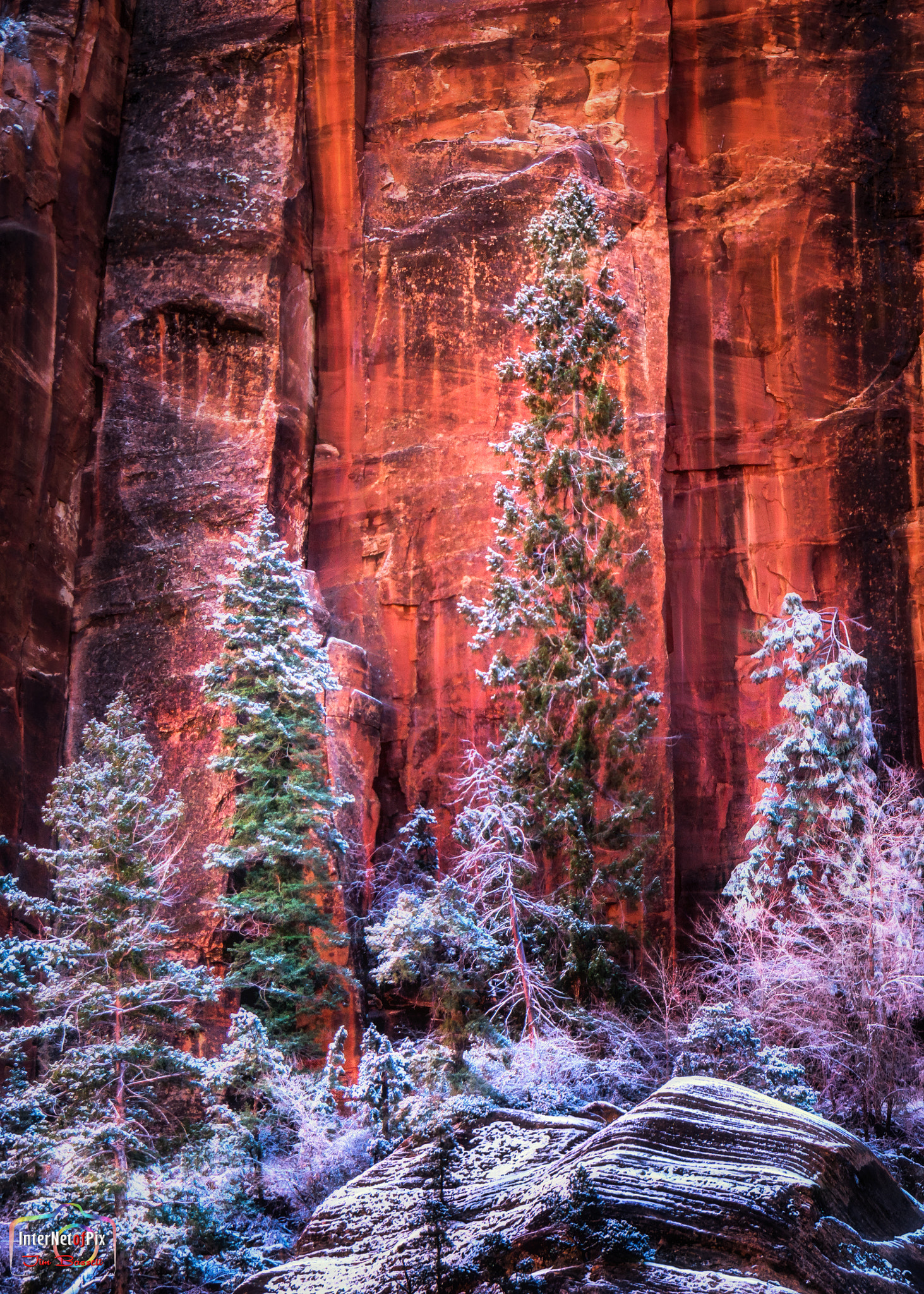 Samsung NX1 + Samsung NX 50-200mm F4-5.6 ED OIS sample photo. Redrock snow forest photography