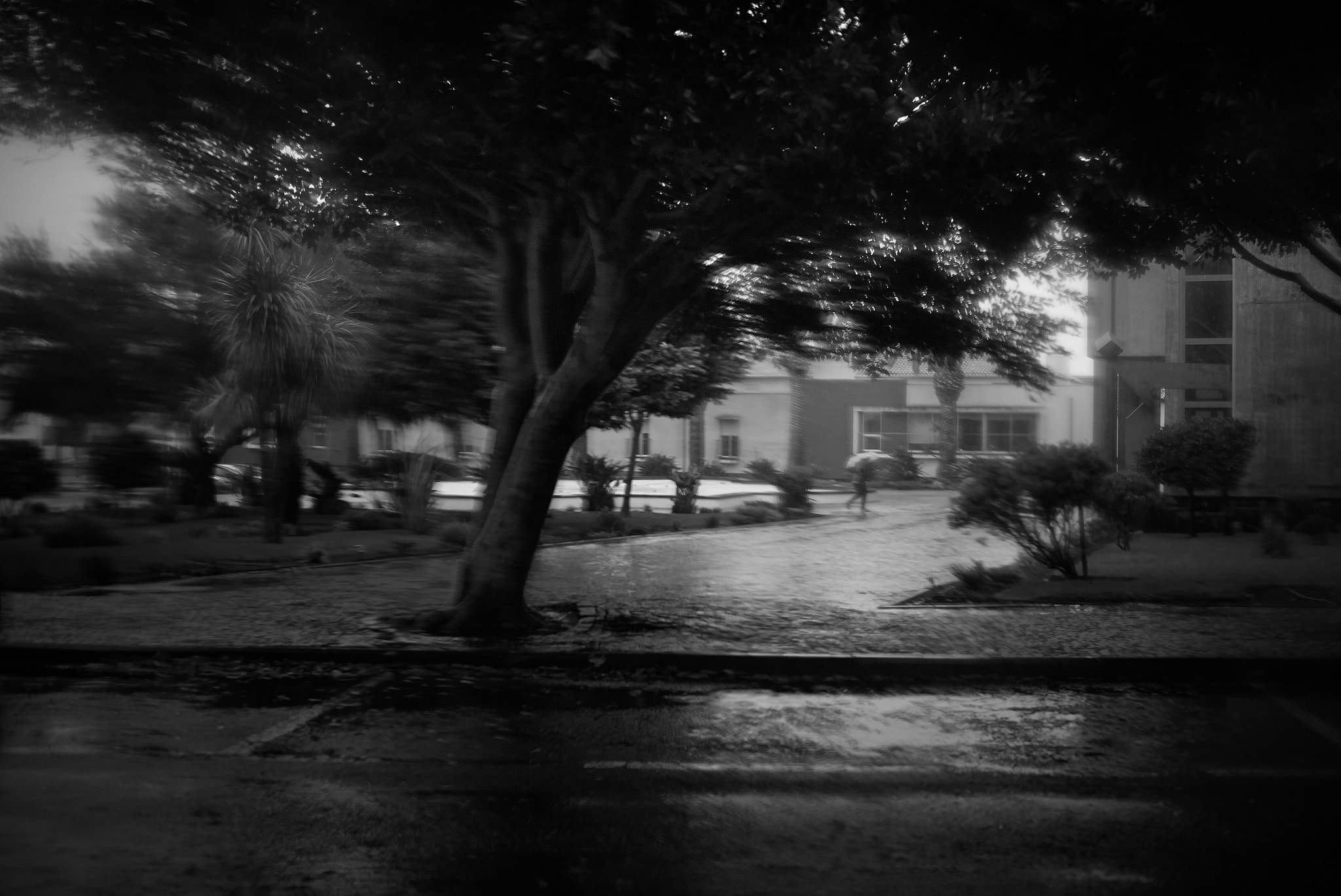 Leica Summarit-M 35mm F2.4 ASPH sample photo. Rain photography