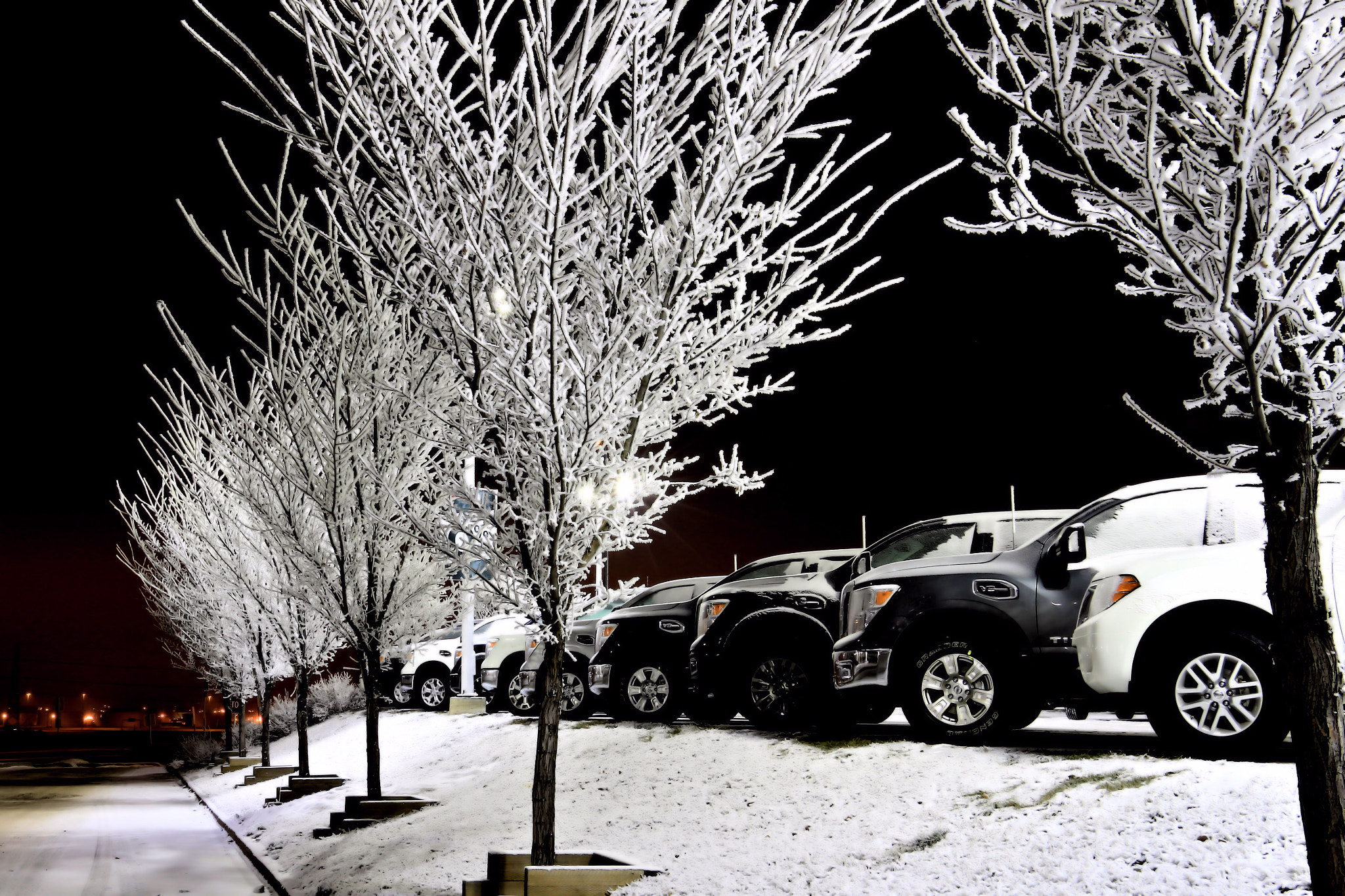 Canon EOS 650D (EOS Rebel T4i / EOS Kiss X6i) sample photo. Frosty evening photography