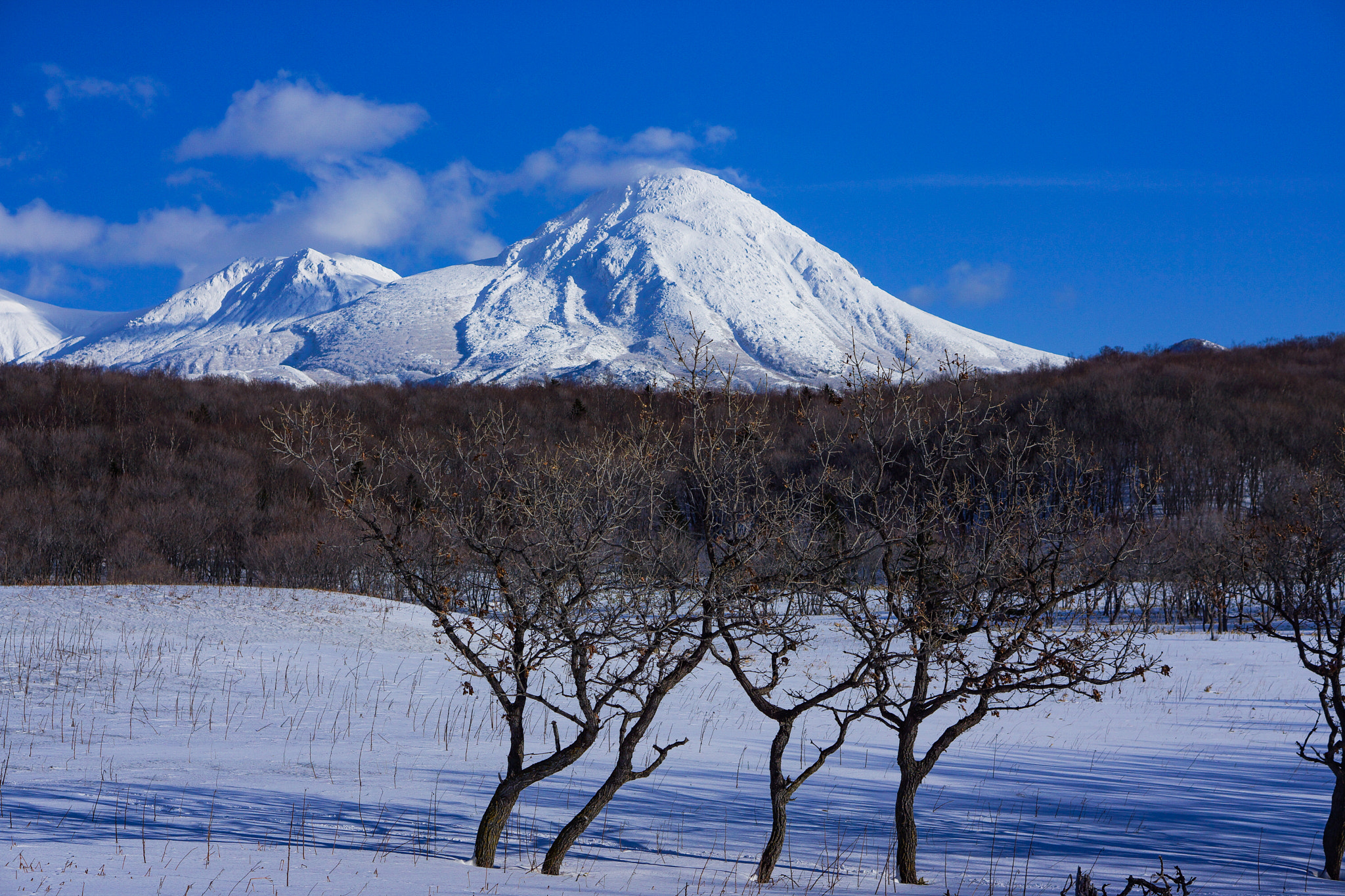 Sony Alpha NEX-7 + E 50mm F1.8 OSS sample photo. Shiretoko nature world photography