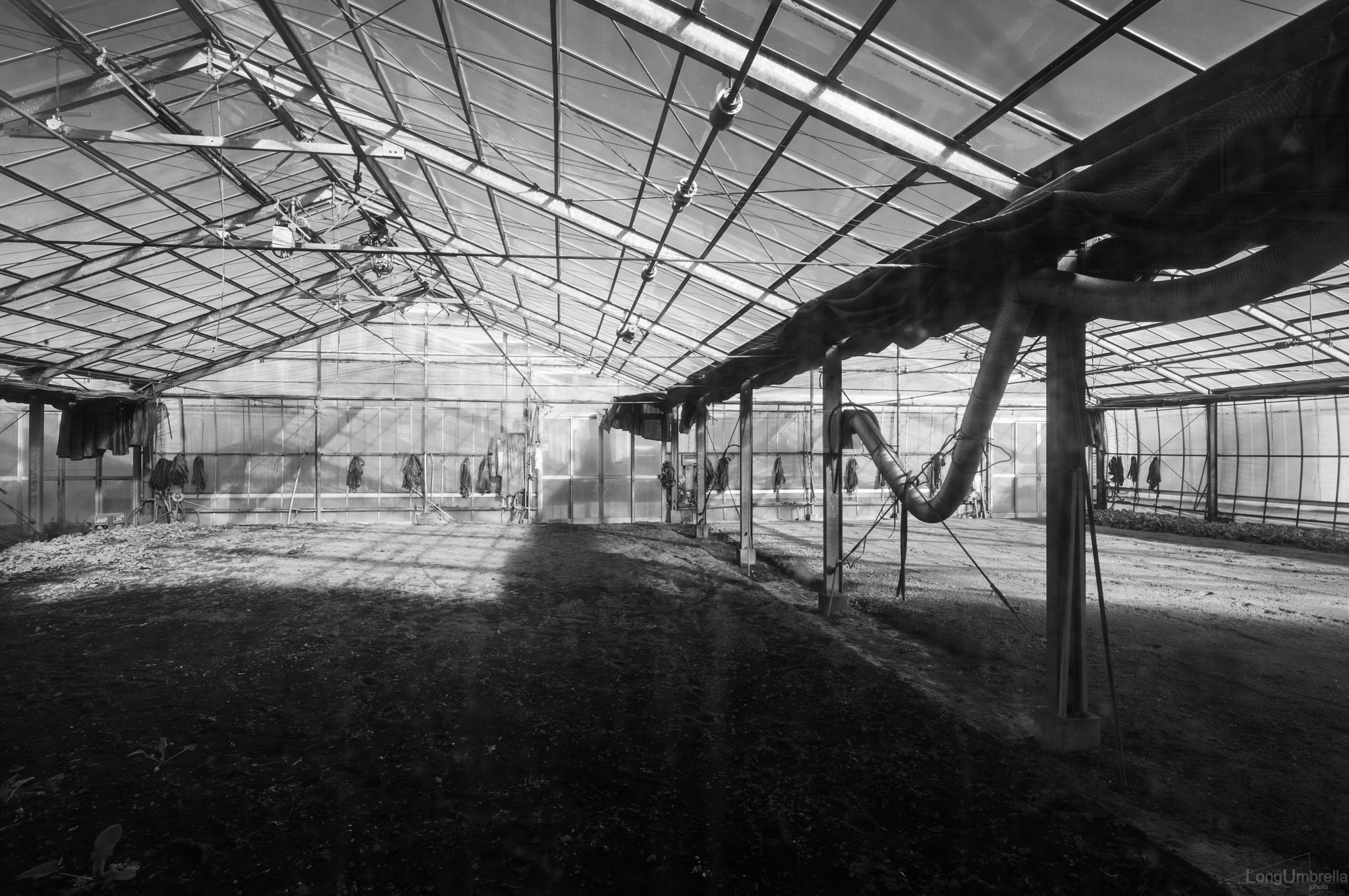 Leica S (TYP 006) sample photo. Hothouse photography