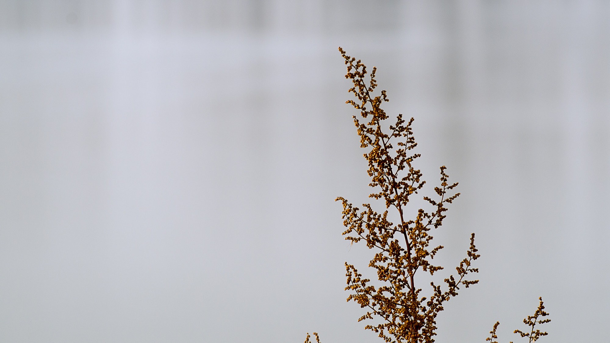 Pentax K-50 sample photo