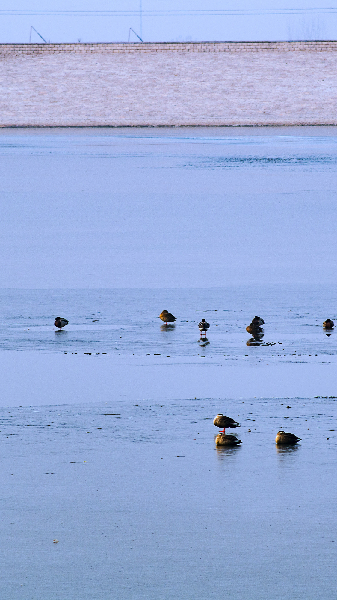 Pentax K-50 sample photo