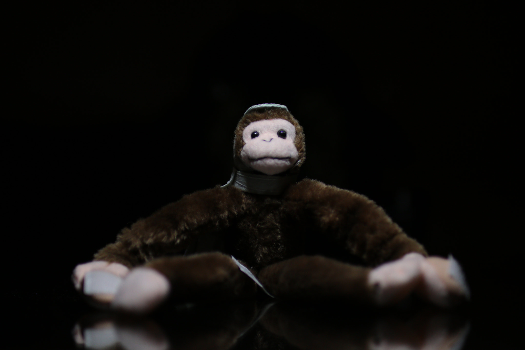 Sigma 30mm F1.4 EX DC HSM sample photo. Dark and scary woot monkey photography