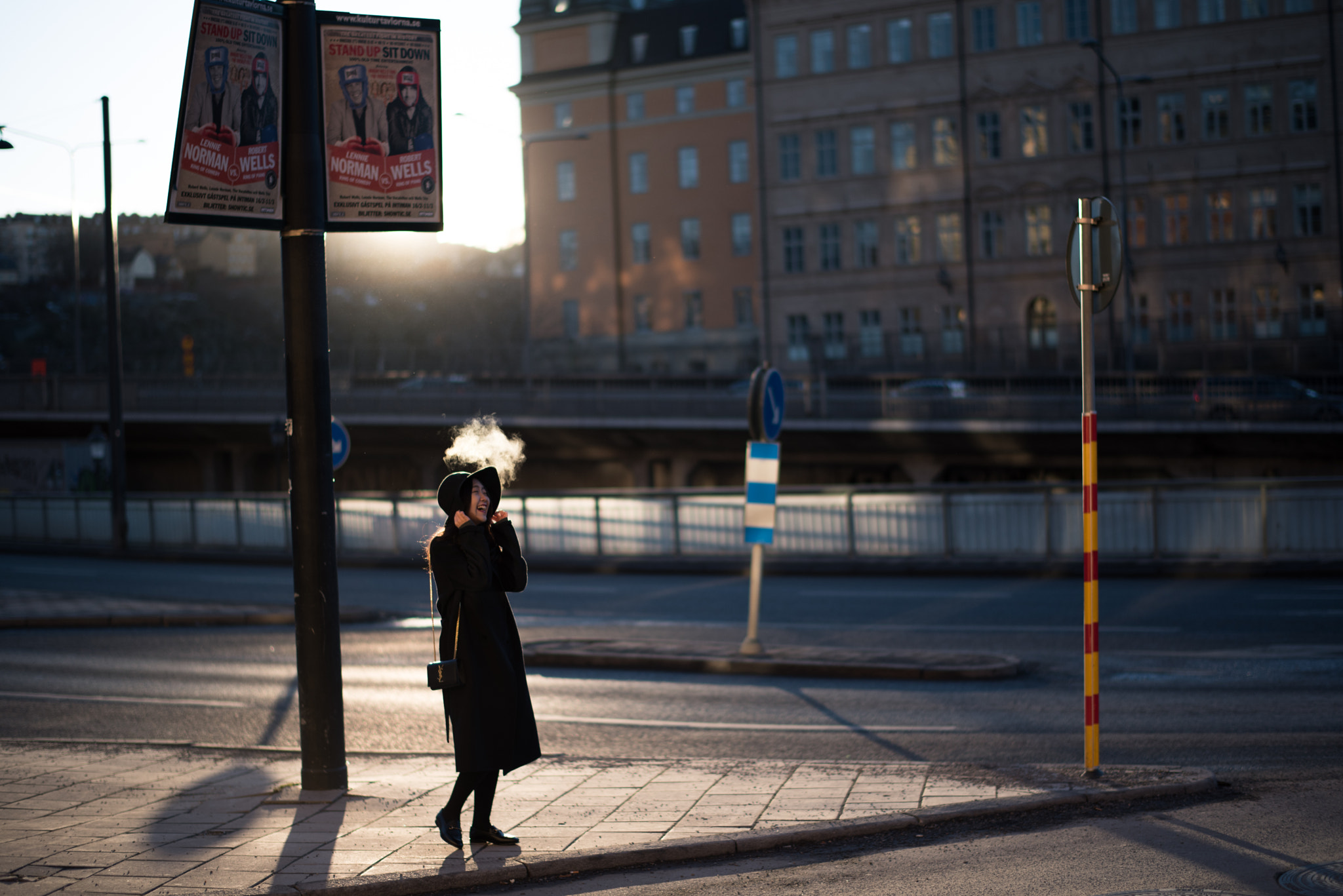 Nikon D750 + Nikon AF-S Nikkor 58mm F1.4G sample photo. Sunshine is not common in stockholm's winter. photography