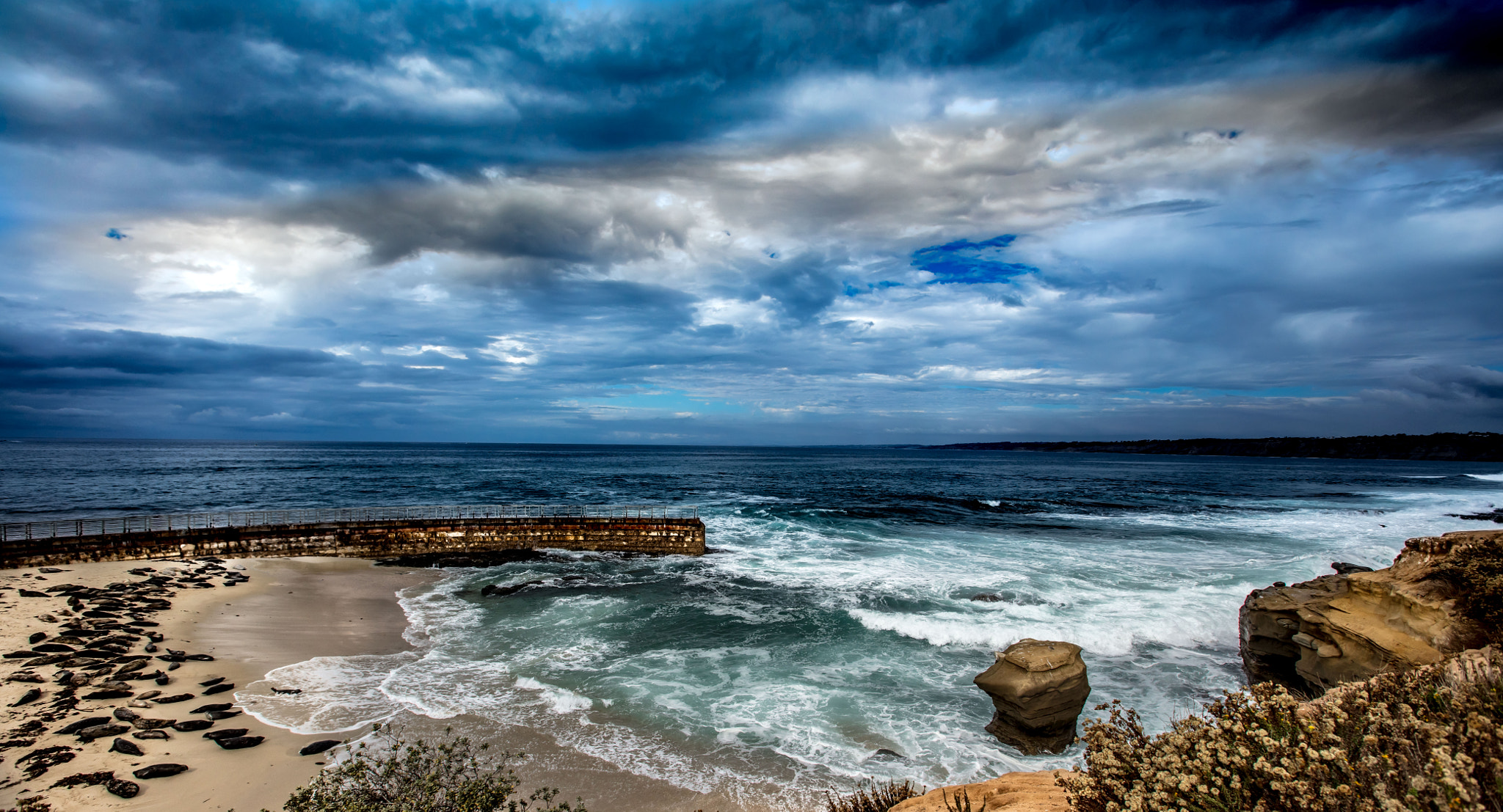 Canon EOS 5DS + Canon EF 16-35mm F2.8L USM sample photo. Seal rock in la jolla photography