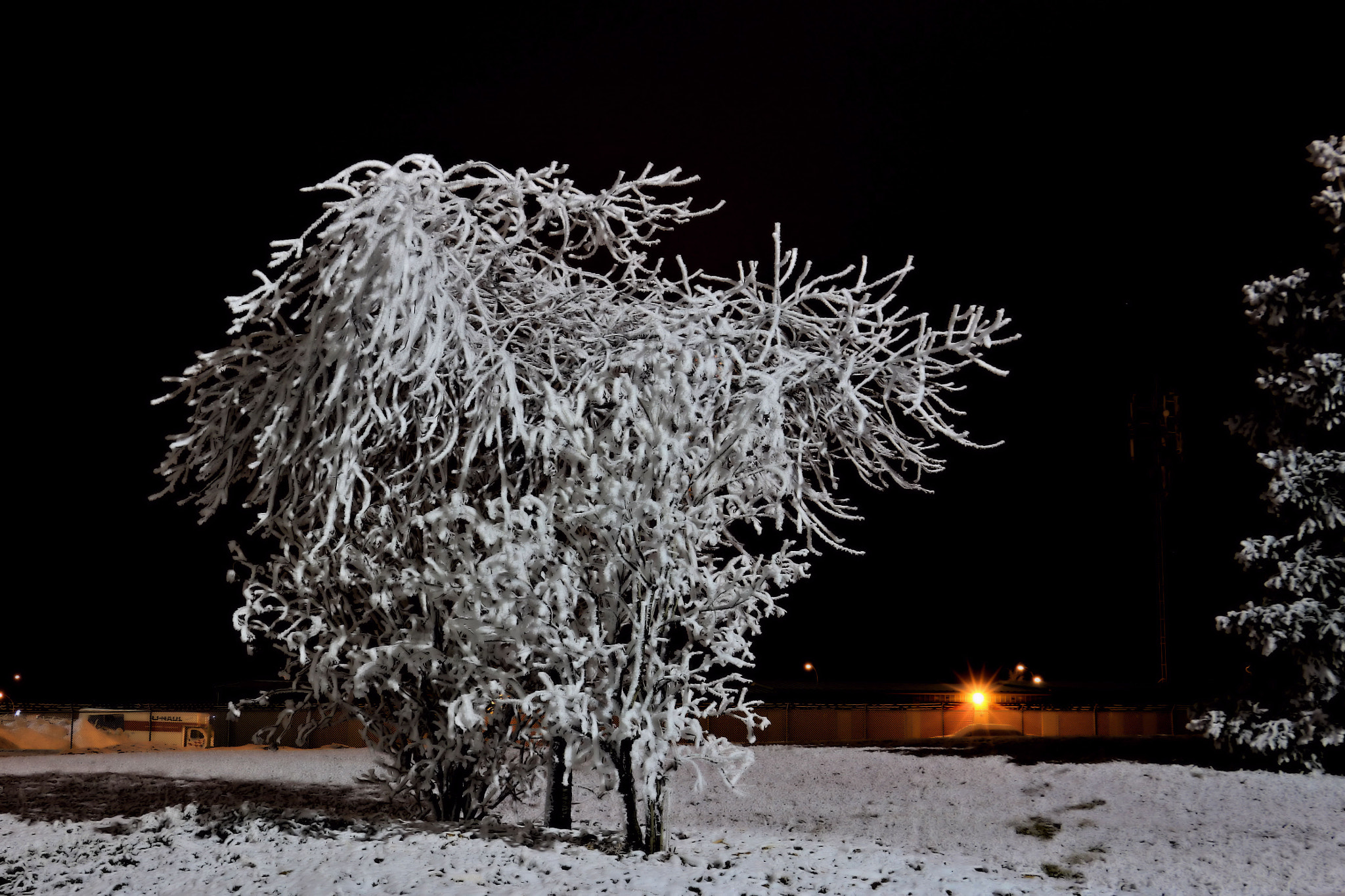 Canon EOS 650D (EOS Rebel T4i / EOS Kiss X6i) sample photo. Cold evening with frost photography