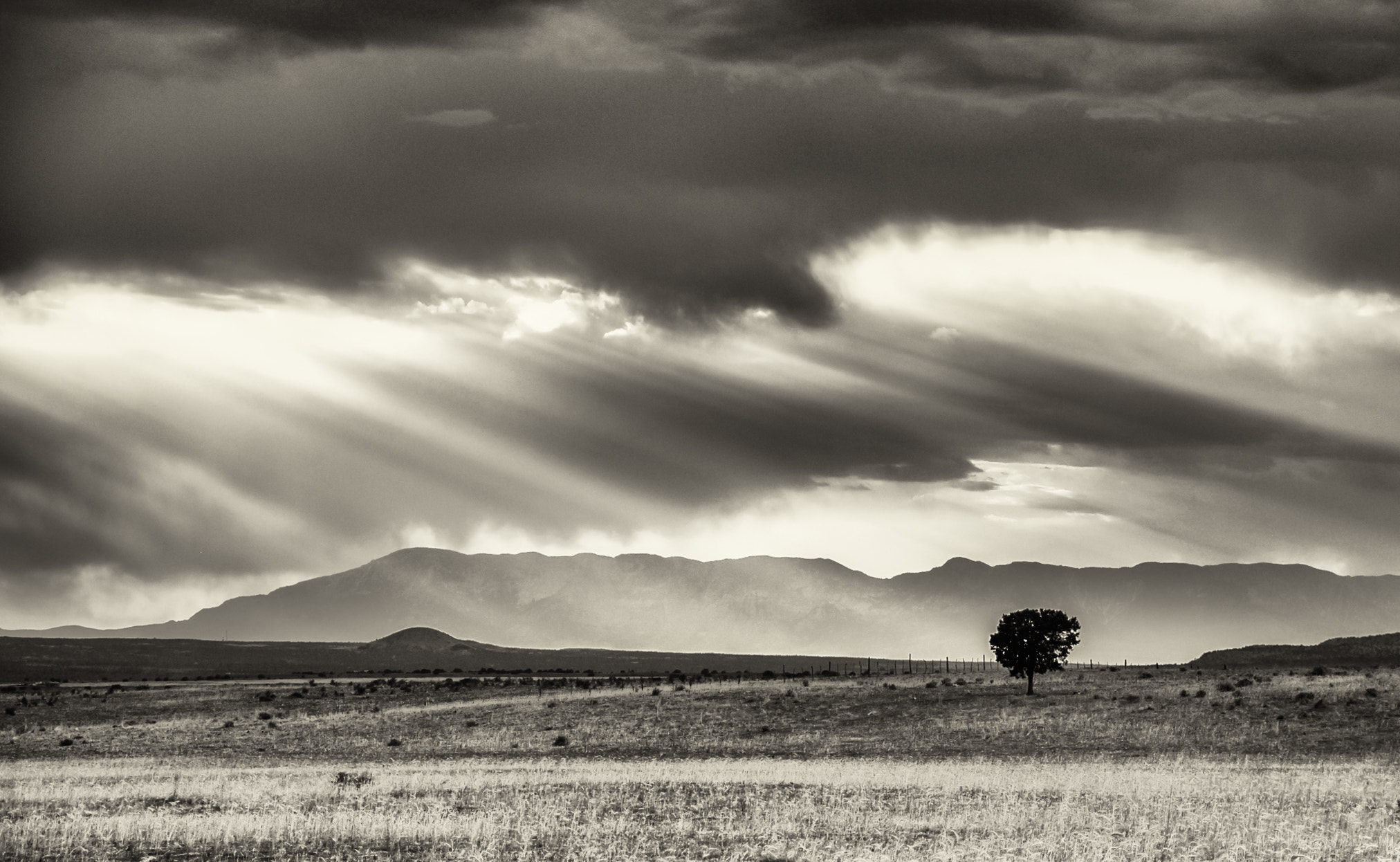 Nikon D2X sample photo. Light from beyond photography