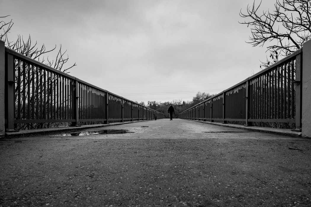 Fujifilm XF 14mm F2.8 R sample photo. Going for a walk photography