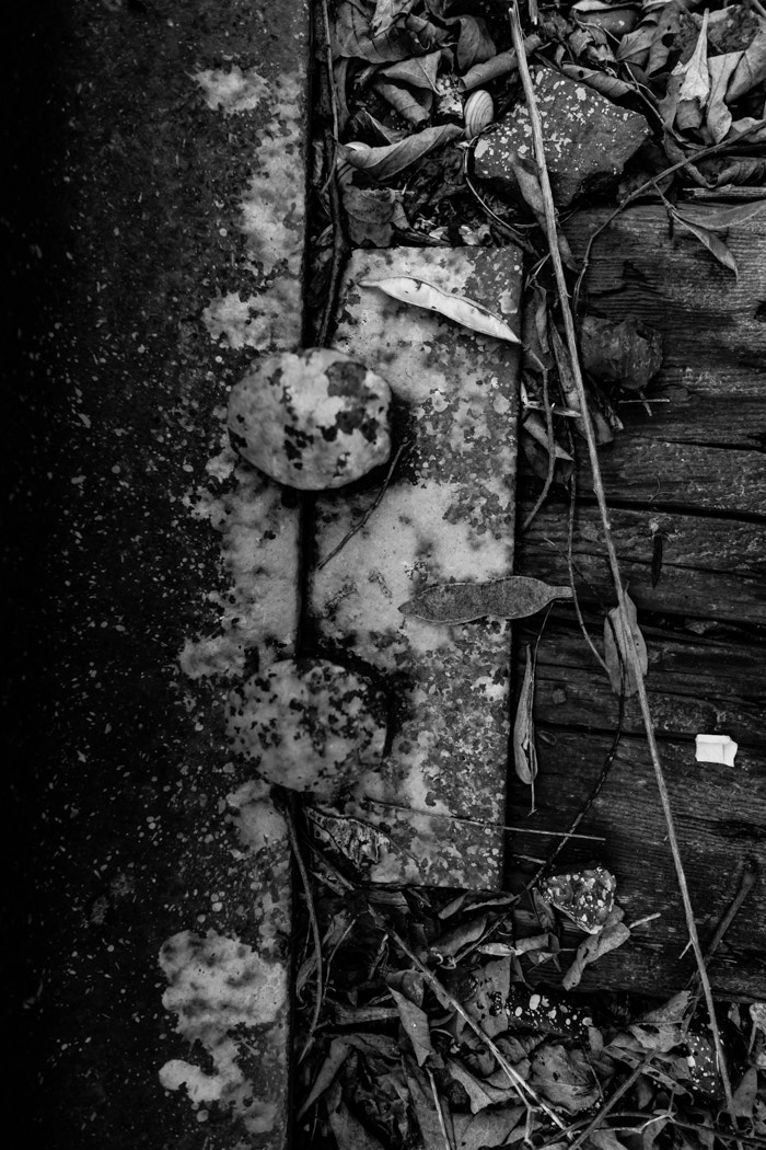 Fujifilm X-A1 + Fujifilm XF 14mm F2.8 R sample photo. Railway nails photography