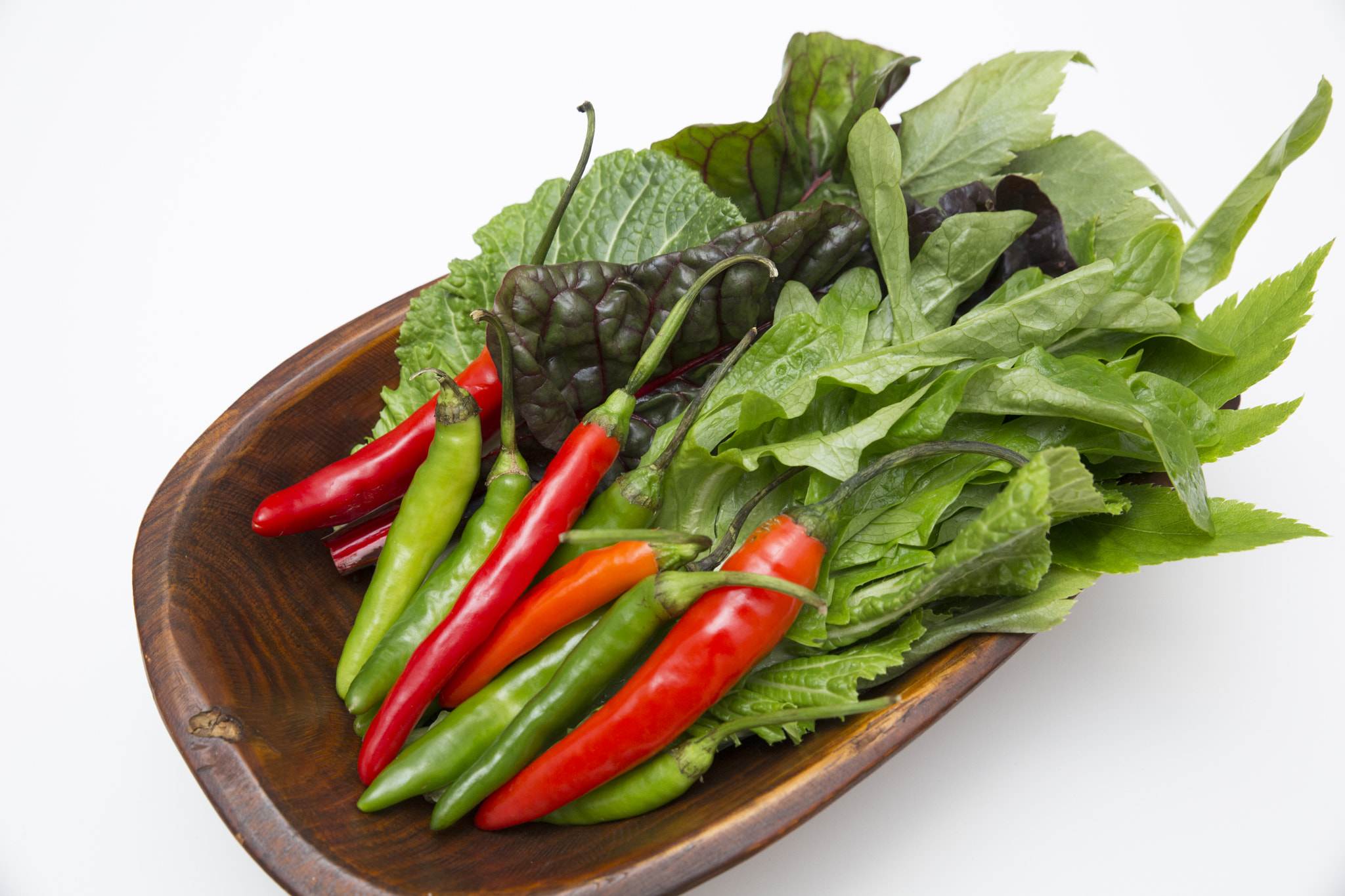 v2?sig=48370c9df1b5512159938731c97f4d2b91e9d155ff996d79f1c88993391d1632