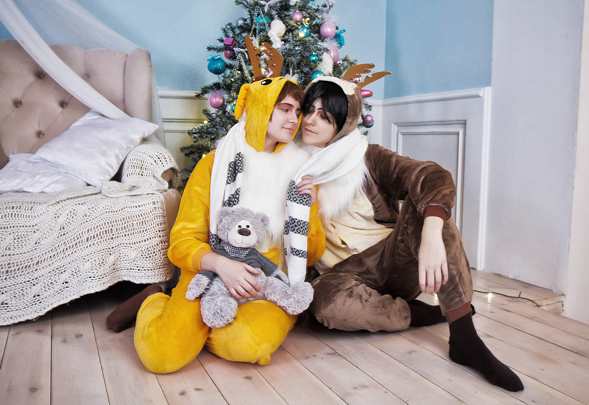 Canon EF 16-35mm F2.8L II USM sample photo. Geass christmas photography