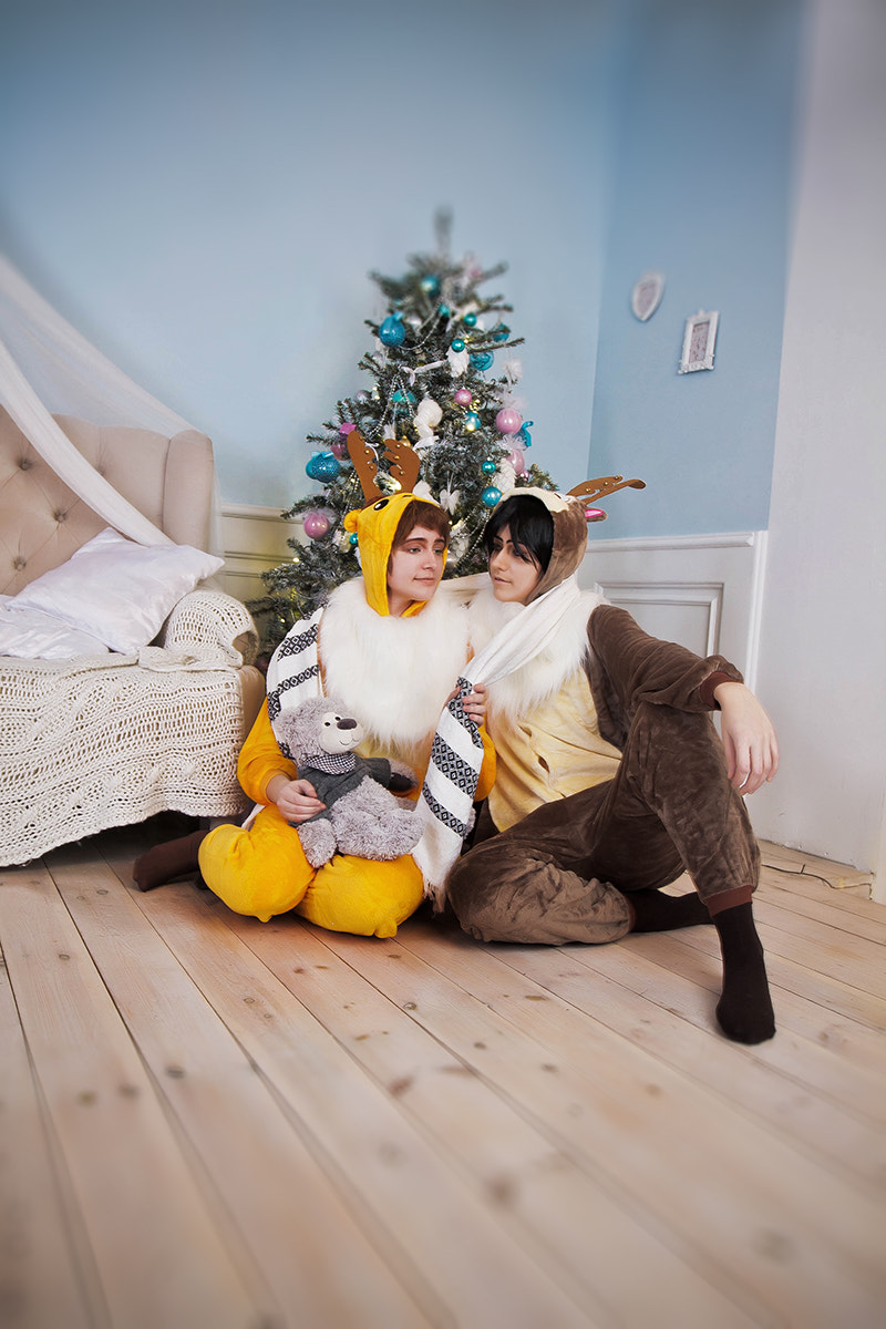 Canon EF 16-35mm F2.8L II USM sample photo. Geass christmas photography