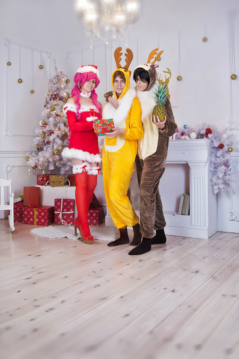 Canon EF 16-35mm F2.8L II USM sample photo. Geass christmas photography