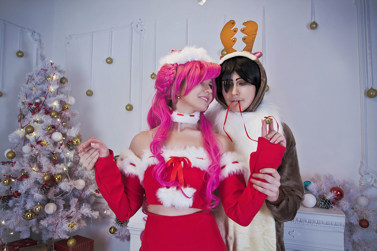 Canon EF 16-35mm F2.8L II USM sample photo. Geass christmas photography