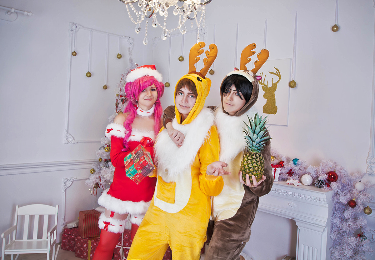 Canon EF 16-35mm F2.8L II USM sample photo. Geass christmas photography