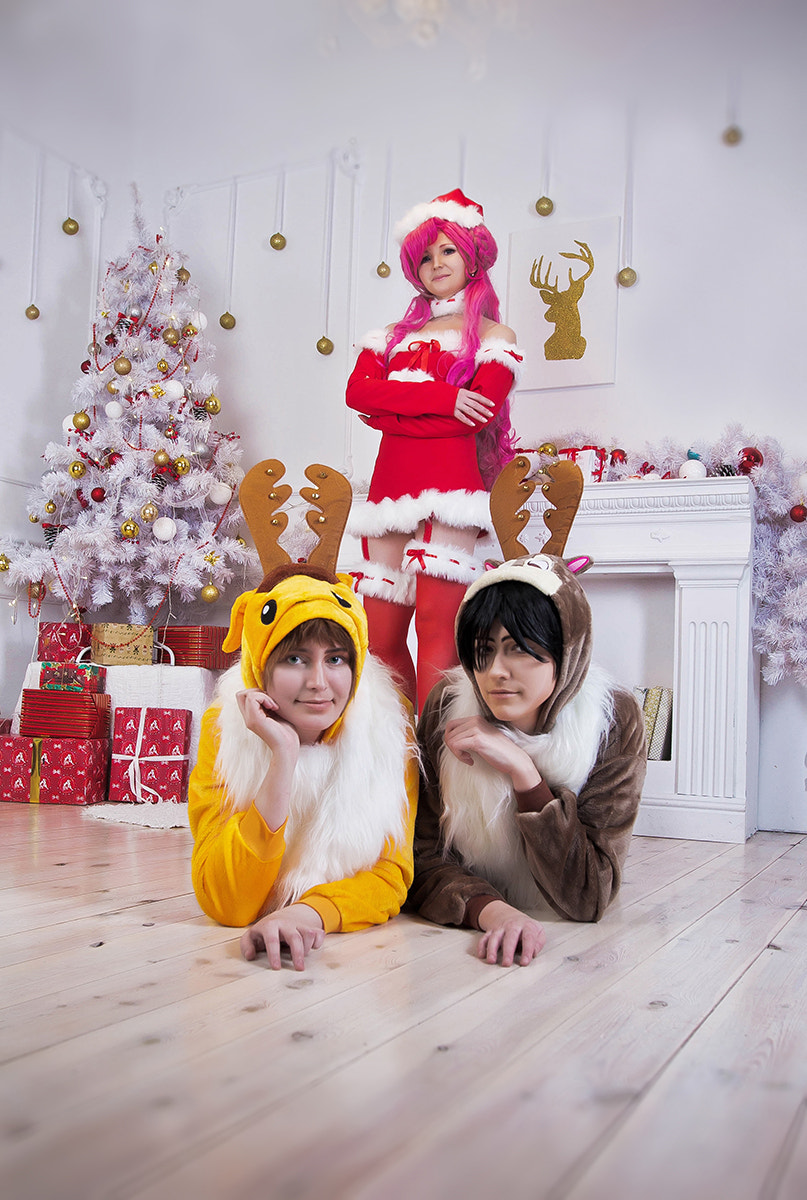 Canon EF 16-35mm F2.8L II USM sample photo. Geass christmas photography