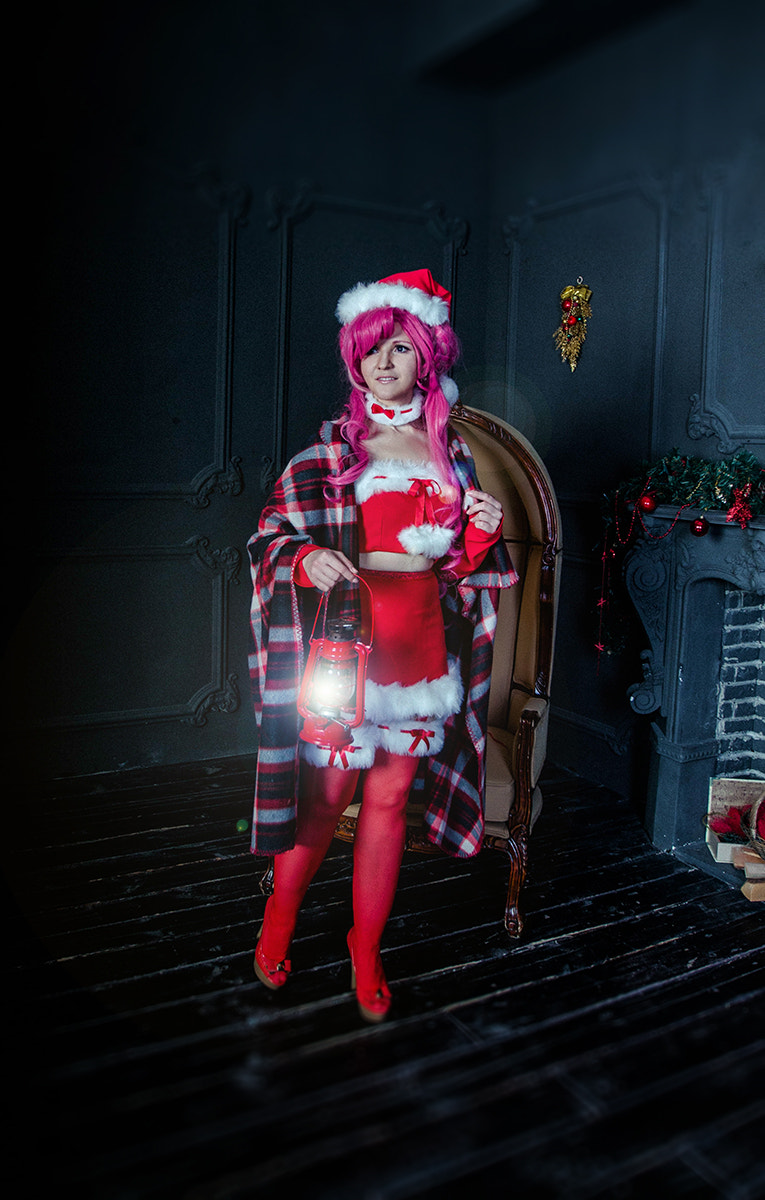 Canon EF 16-35mm F2.8L II USM sample photo. Christmas geass photography