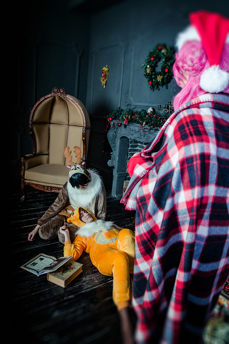Canon EF 16-35mm F2.8L II USM sample photo. Christmas geass photography