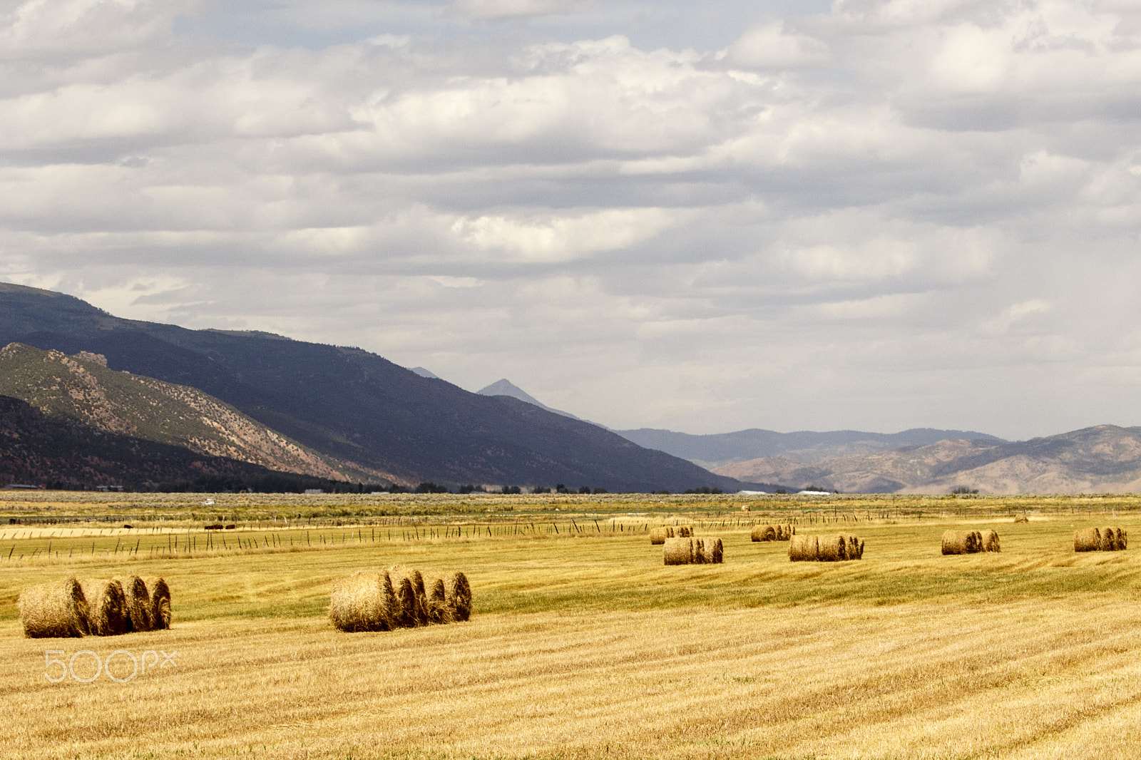 Canon EOS 100D (EOS Rebel SL1 / EOS Kiss X7) sample photo. Field of hay bales photography