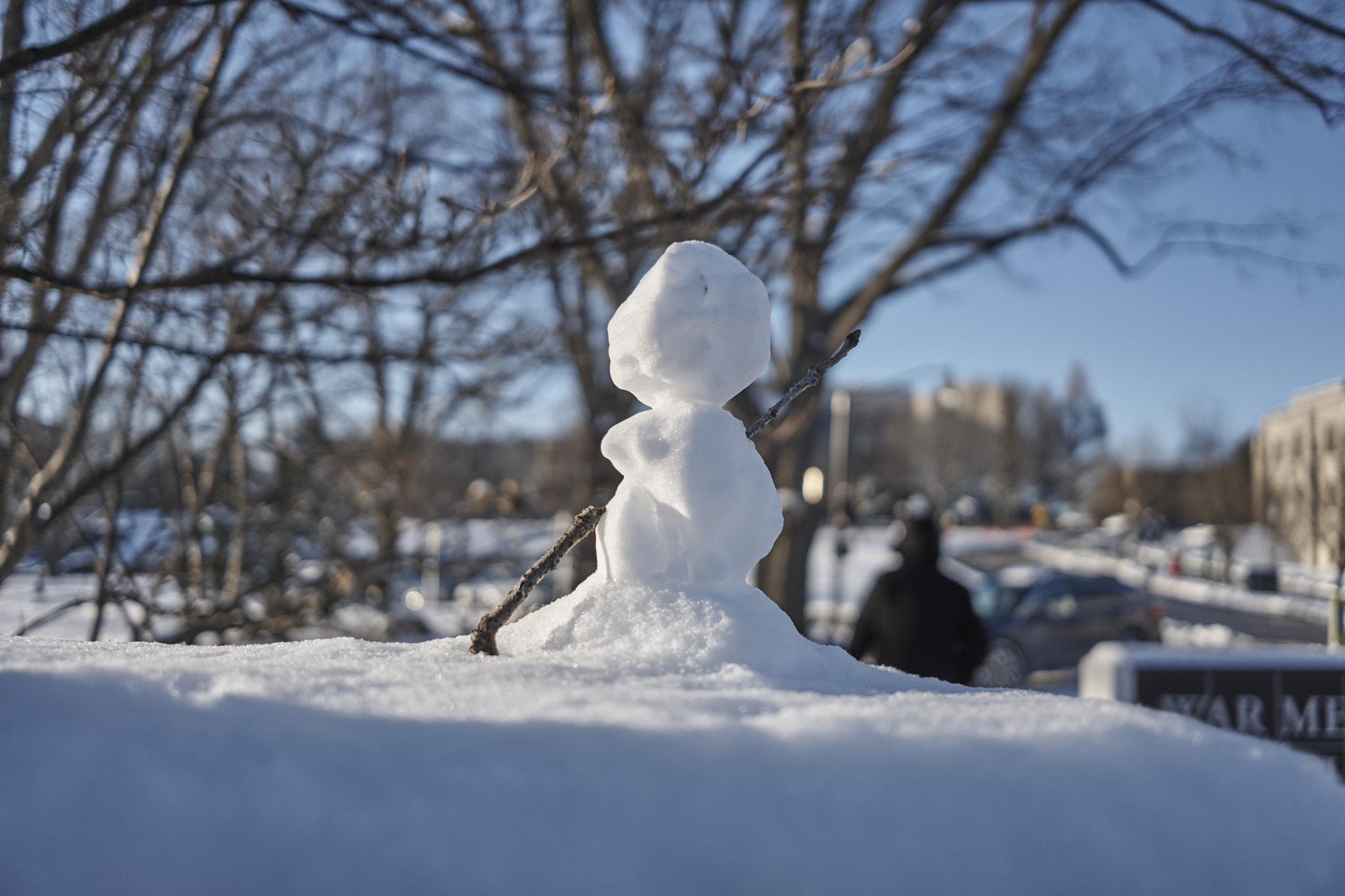 Sony E 20mm F2.8 sample photo. Half hearted dance of snowman photography