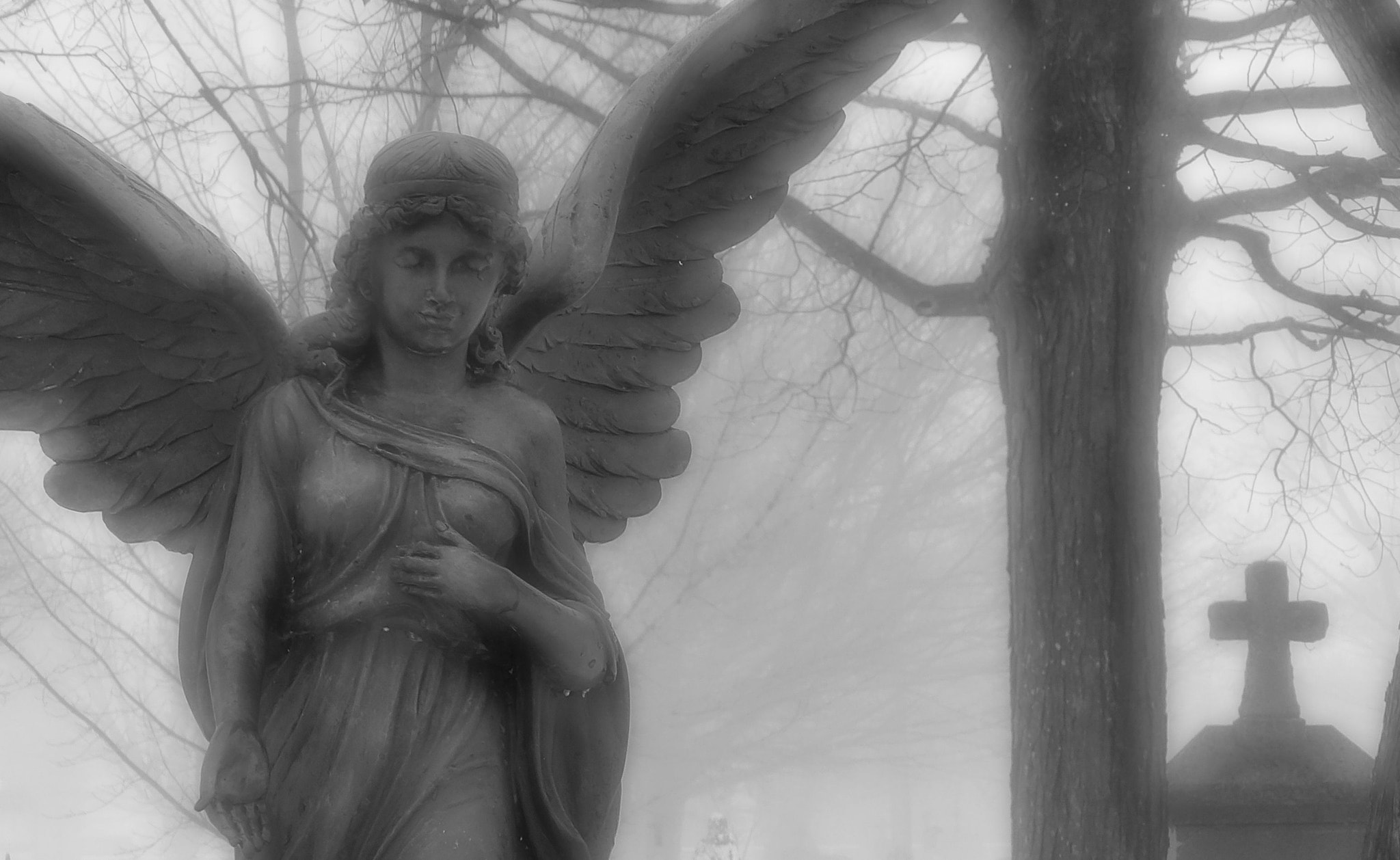 JK KODAK PIXPRO AZ525 sample photo. Watching over you photography