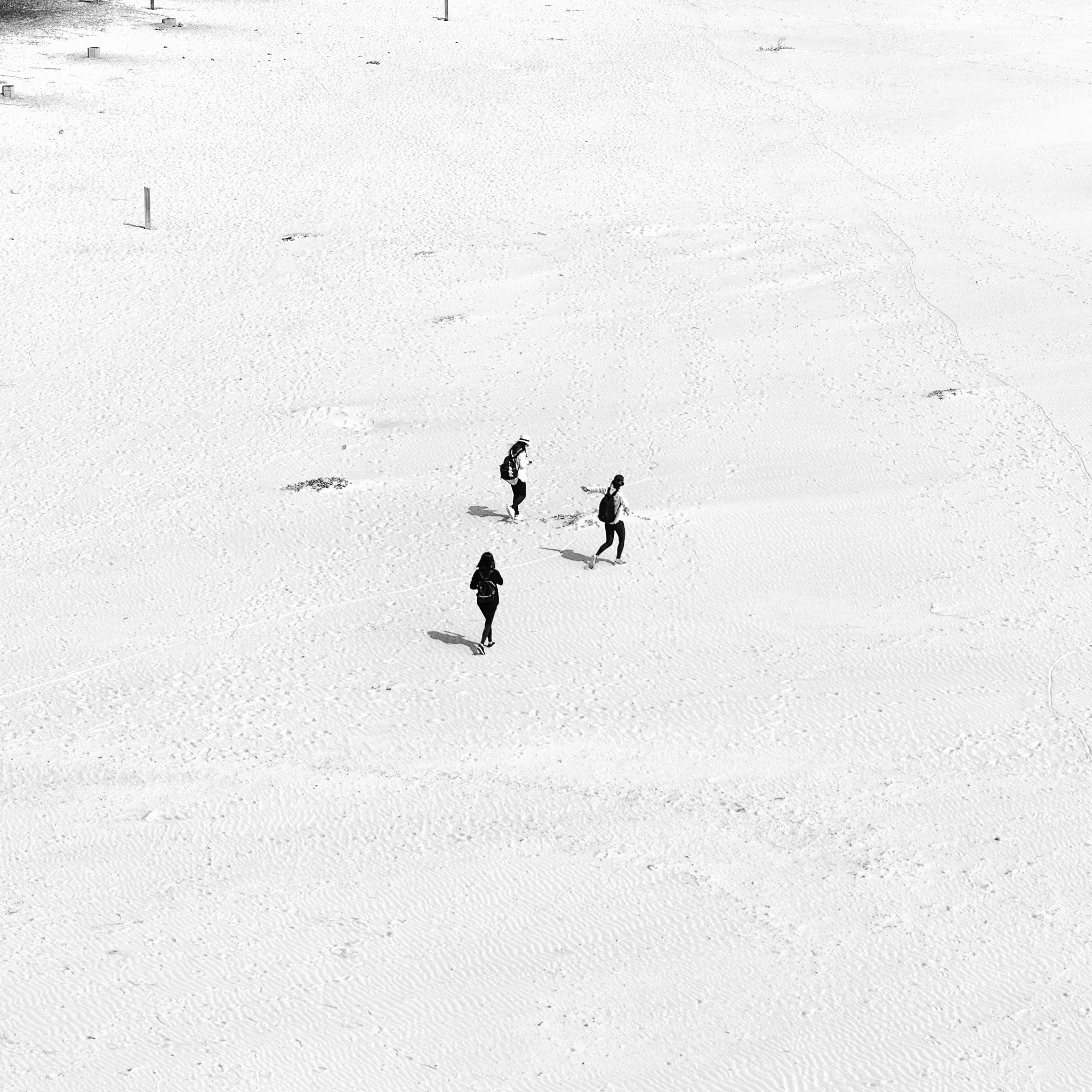 Canon EOS 5DS + Sigma 24-70mm F2.8 EX DG Macro sample photo. Beach photography