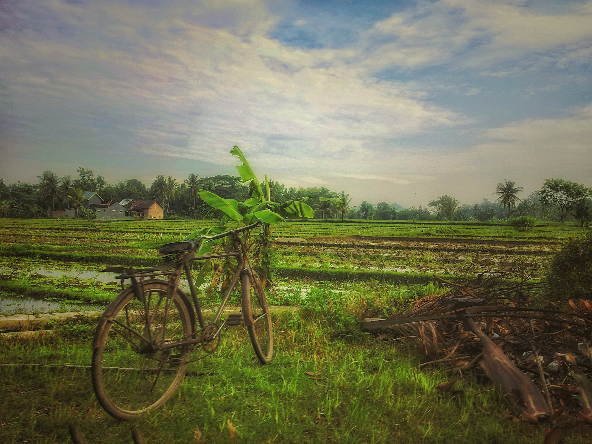 Samsung Galaxy Note sample photo