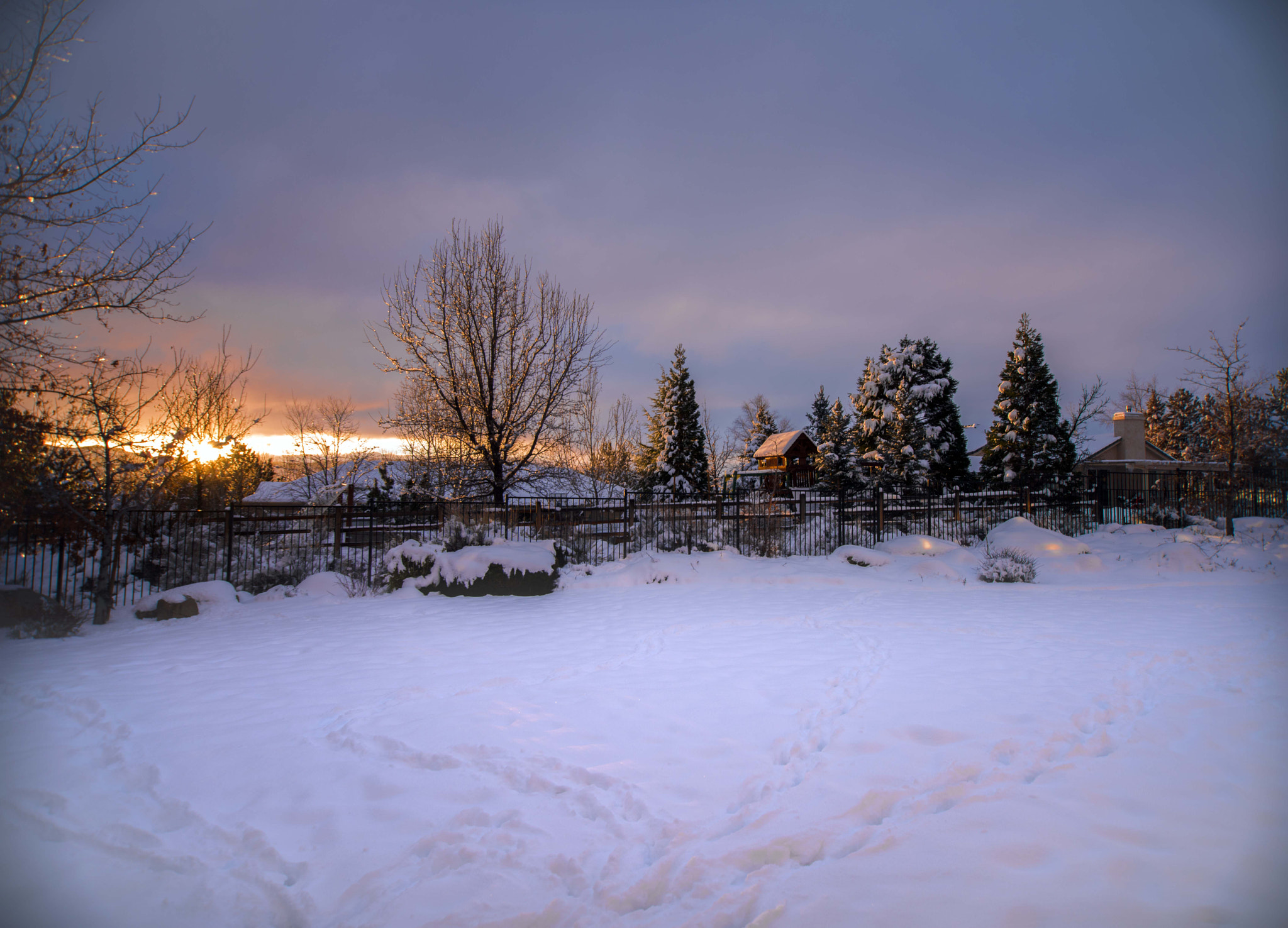 Nikon D810 sample photo. Winter sunrise photography