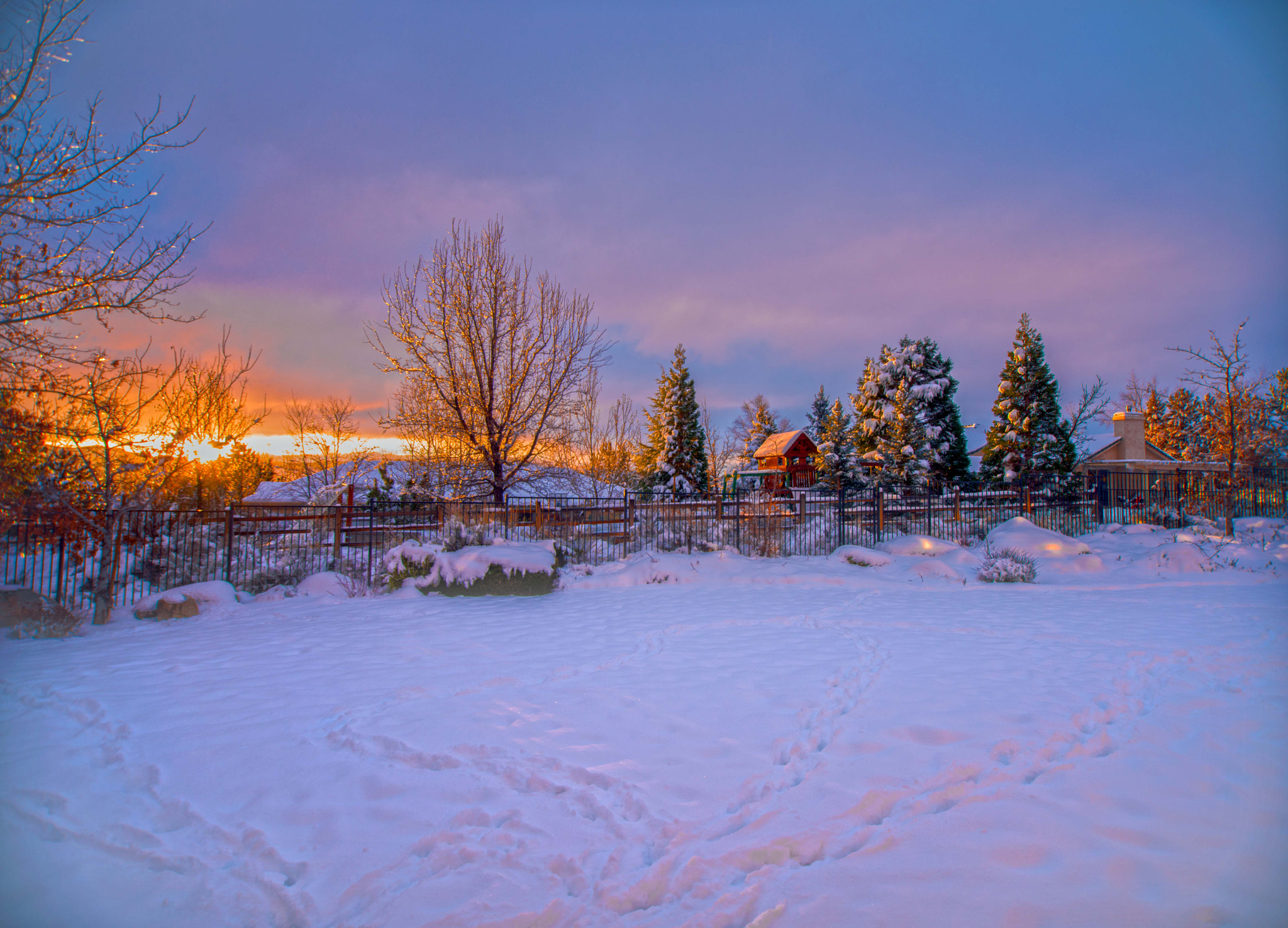 Nikon D810 sample photo. Winter sunrise photography