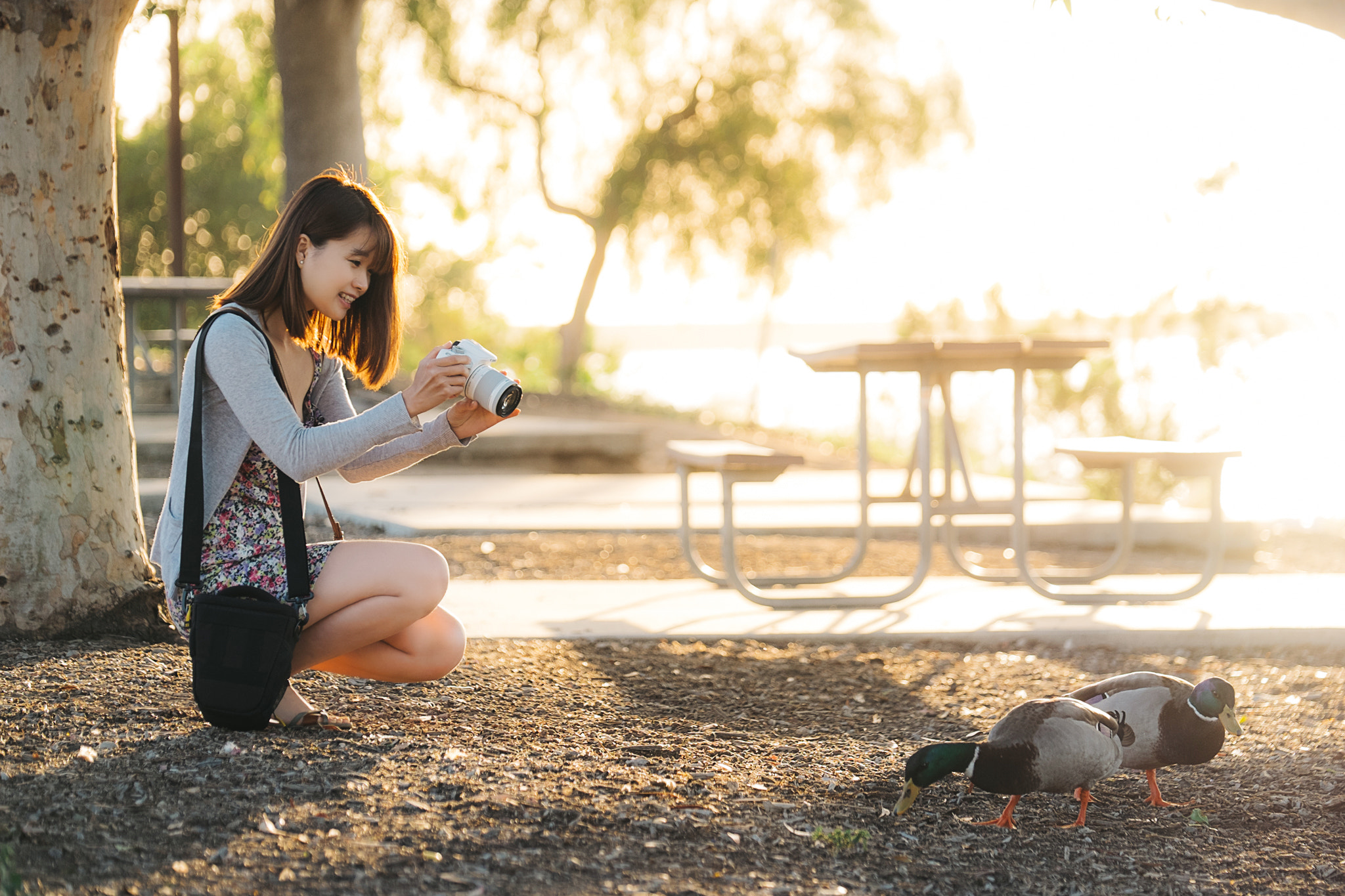 Fujifilm X-T1 + Fujifilm XF 50-140mm F2.8 R LM OIS WR sample photo. Golden hour photography