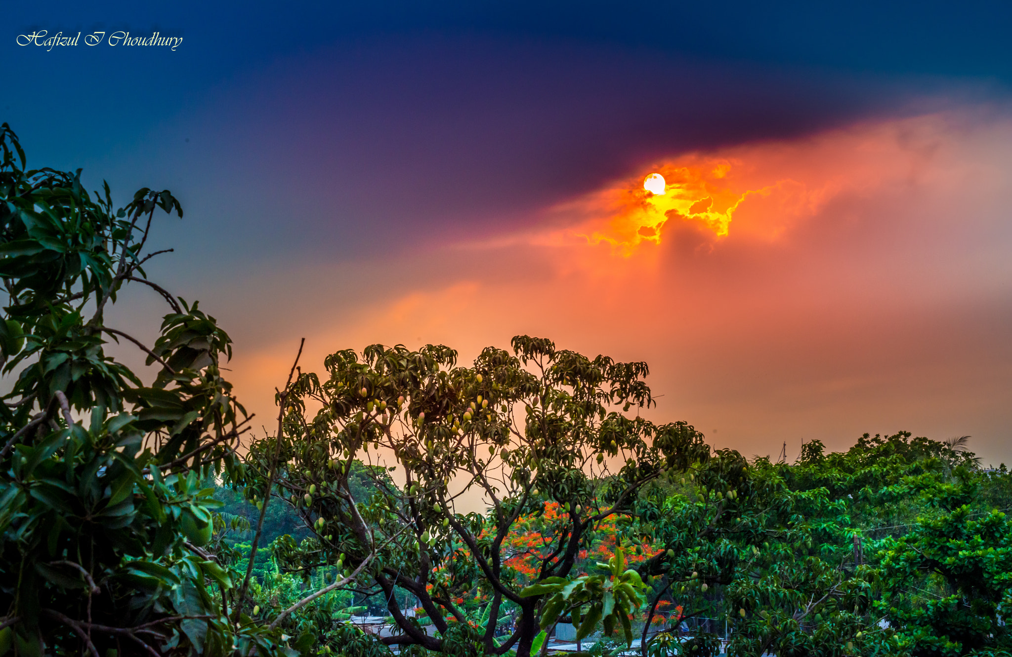 Nikon D800 sample photo. Sunset 1 photography