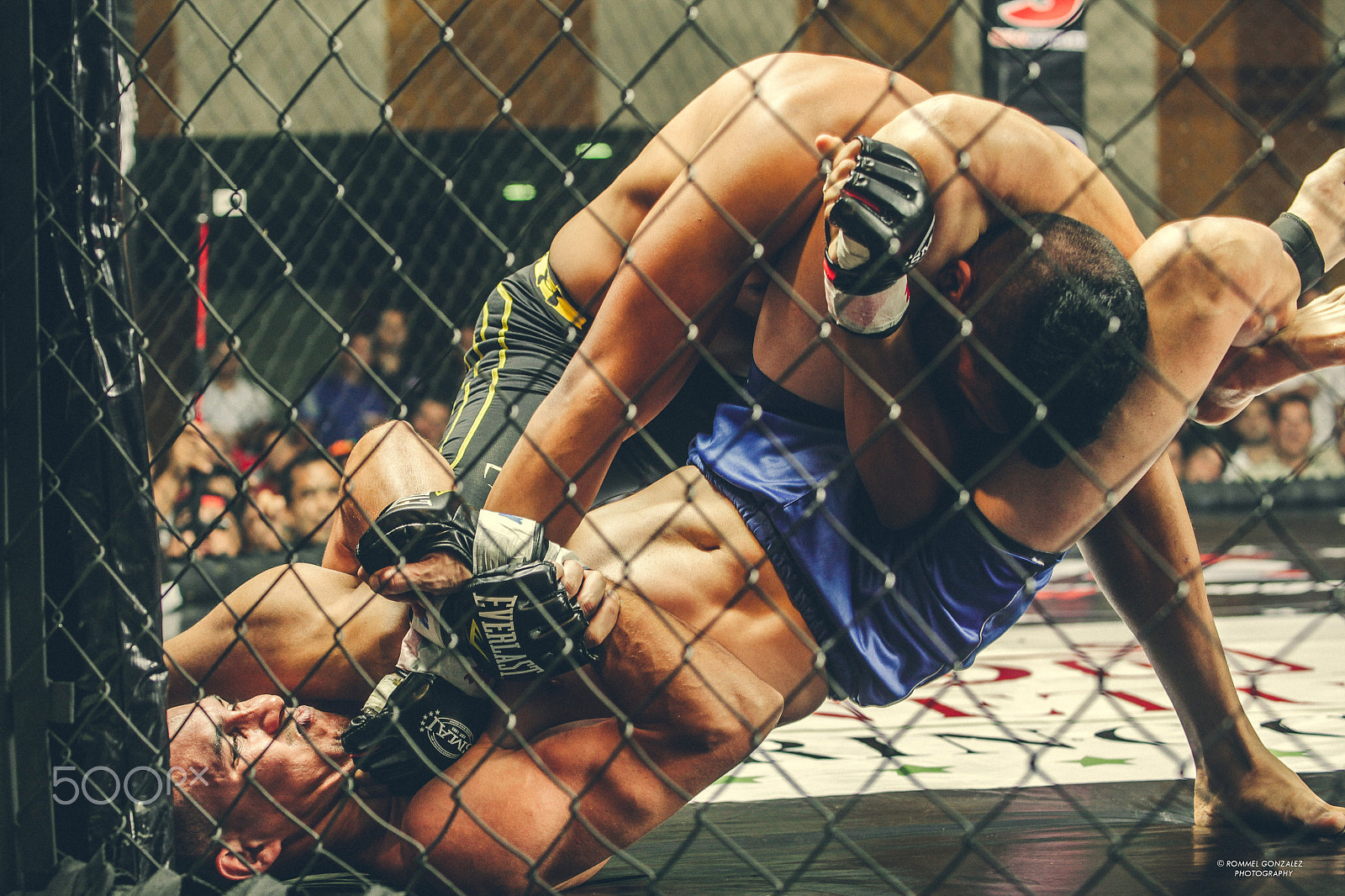 Sigma 70-200mm F2.8 EX DG OS HSM sample photo. Ultimate fighting photography