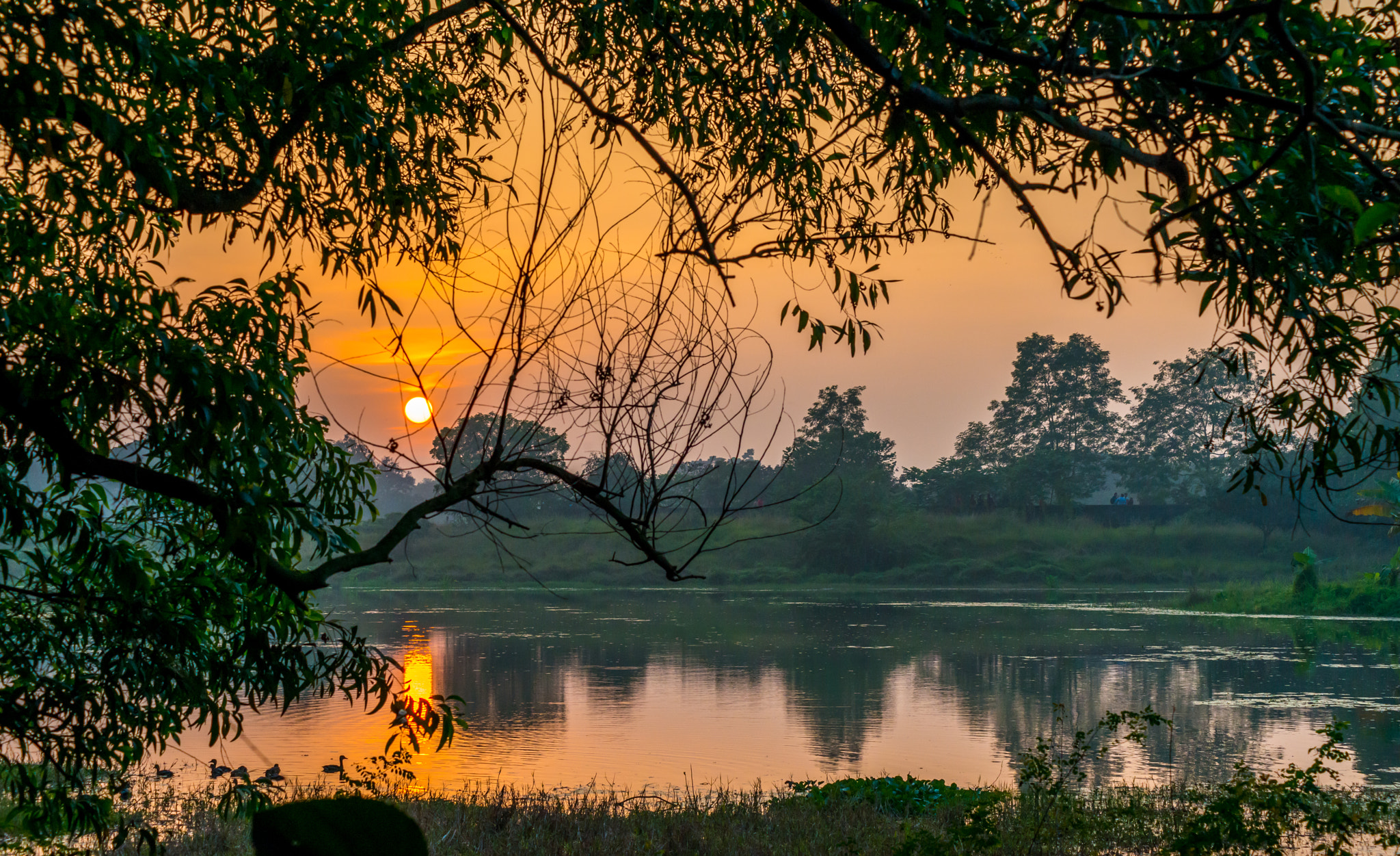 Nikon D800 sample photo. Sunset 3 photography