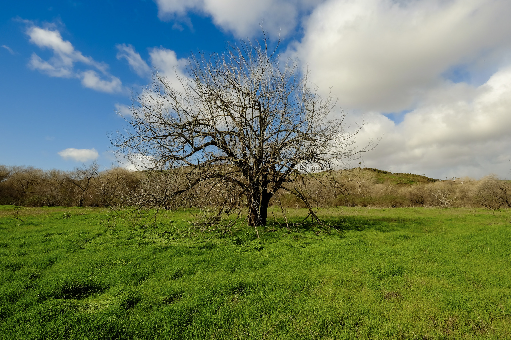 Fujifilm X-T10 + Fujifilm XF 10-24mm F4 R OIS sample photo. Bonsall countryside photography