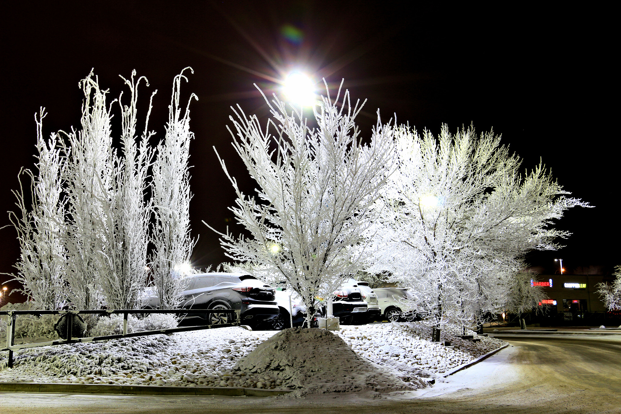 Canon EOS 650D (EOS Rebel T4i / EOS Kiss X6i) sample photo. Frosty night photography