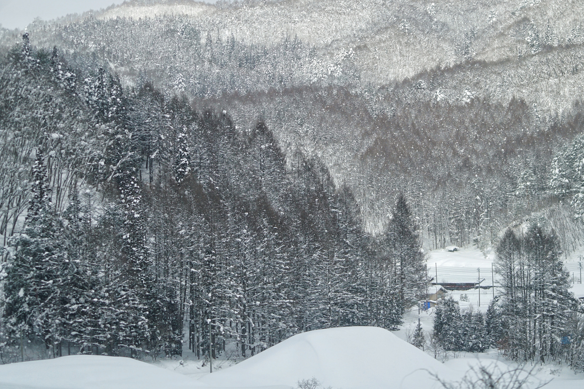 Sony a7R II + Sony FE 70-200mm F4 G OSS sample photo. On the way to takayama. photography