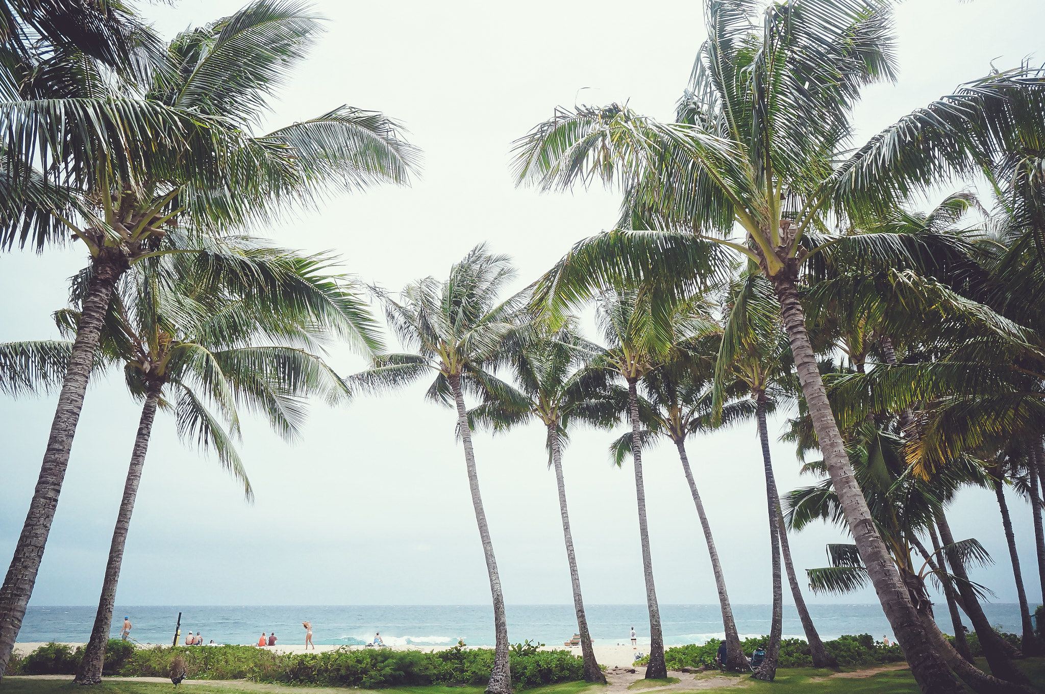 Sony Alpha NEX-6 + Sony E 16mm F2.8 sample photo. Kauai photography