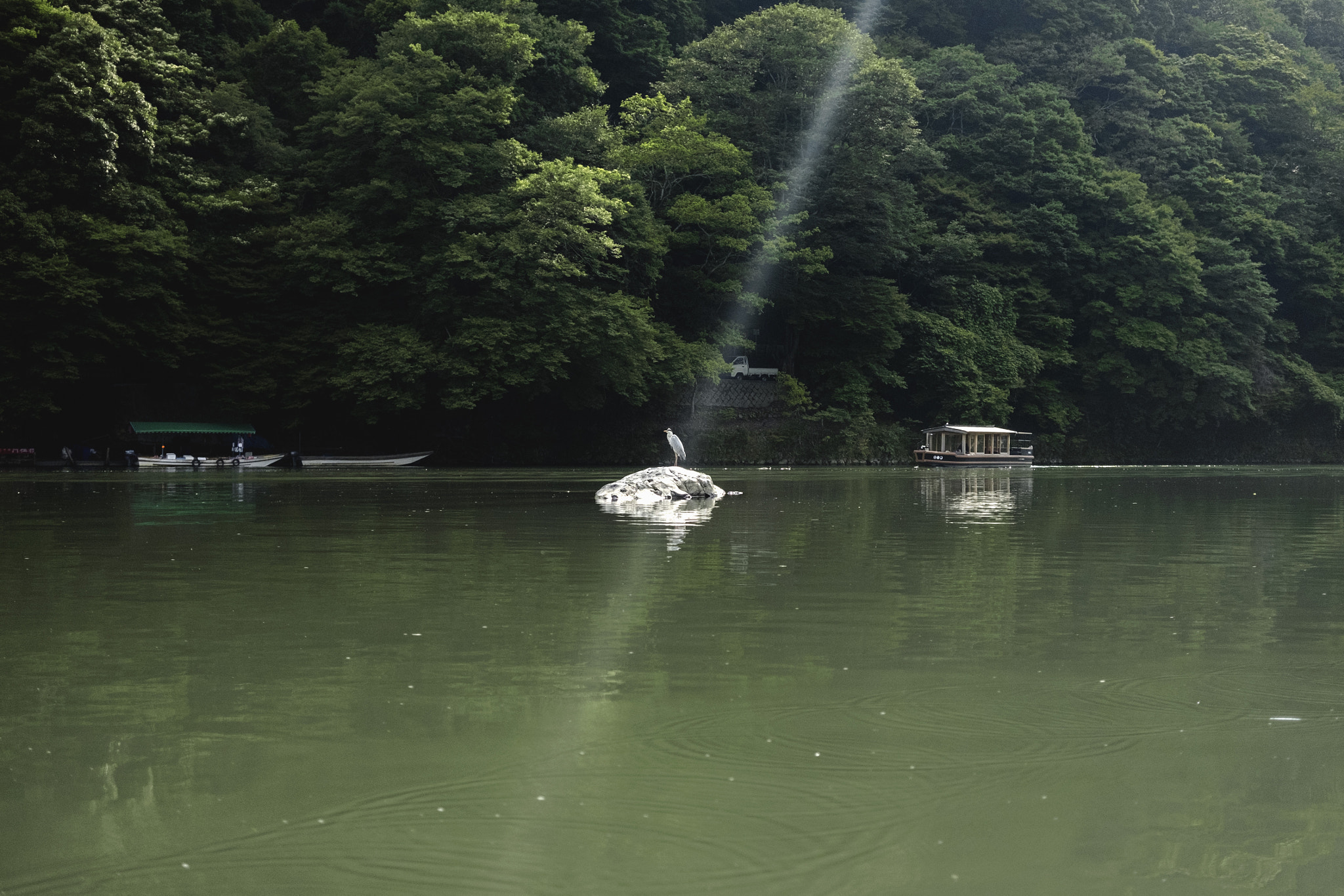 Fujifilm X-E2 + Fujifilm XF 27mm F2.8 sample photo. Bird on a rock photography