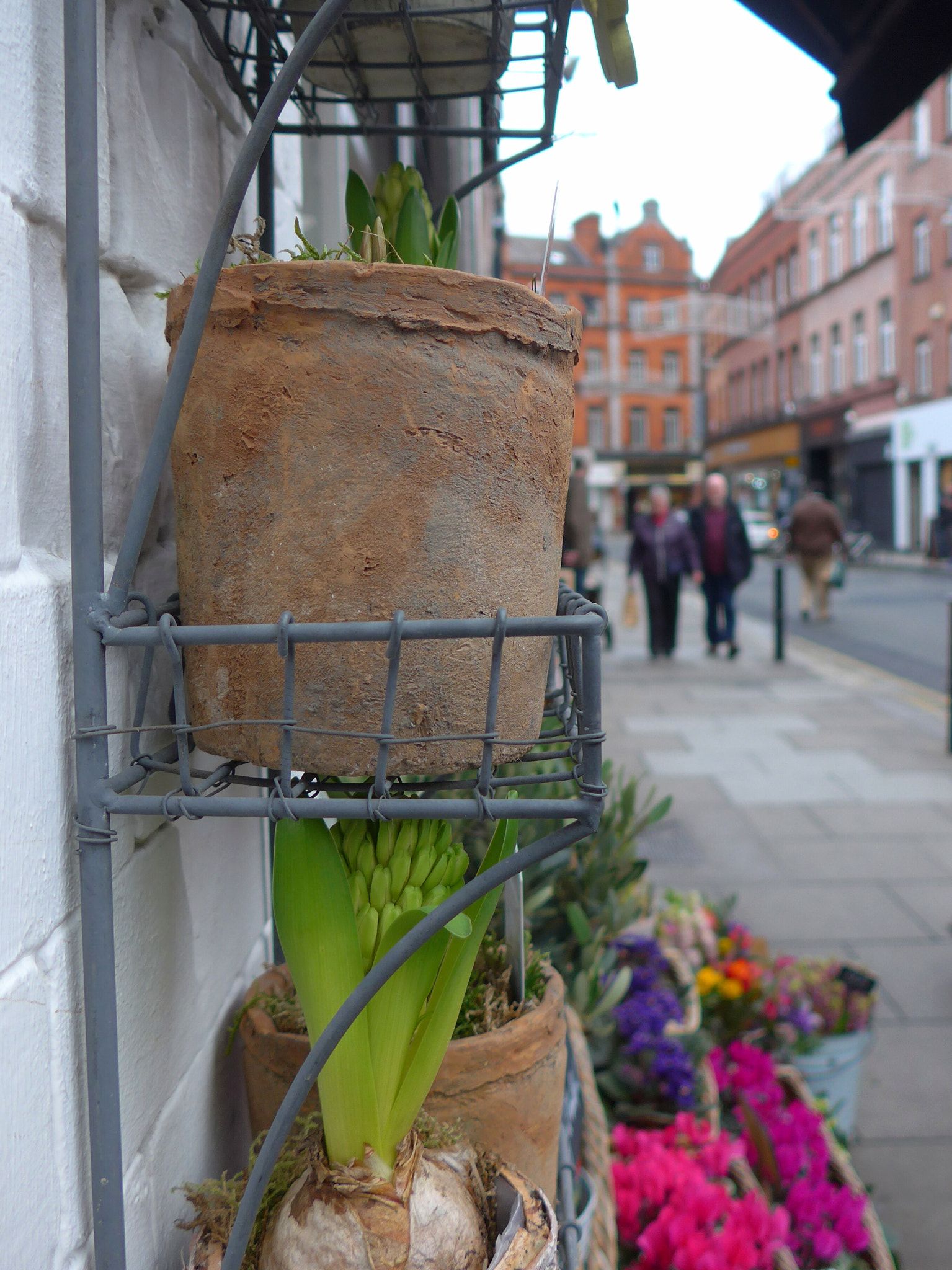 Leica C (Typ 112) sample photo. Flower shop photography