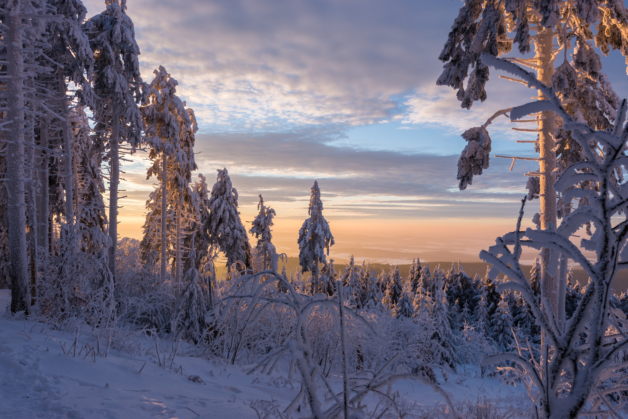 Sony ILCA-77M2 sample photo. Winter wonderland in colorful mood photography