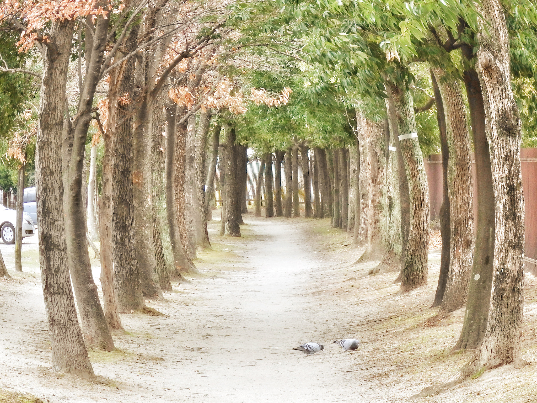 Olympus SH-3 sample photo