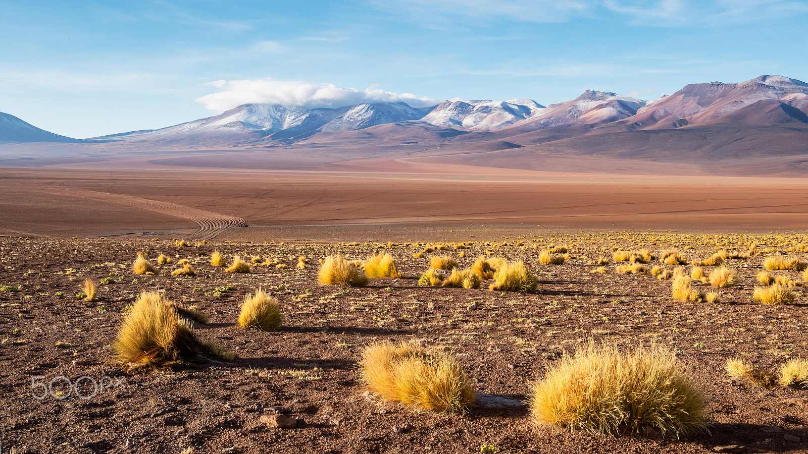 Nikon AF-S Nikkor 24-70mm F2.8E ED VR sample photo. Siloli desert photography