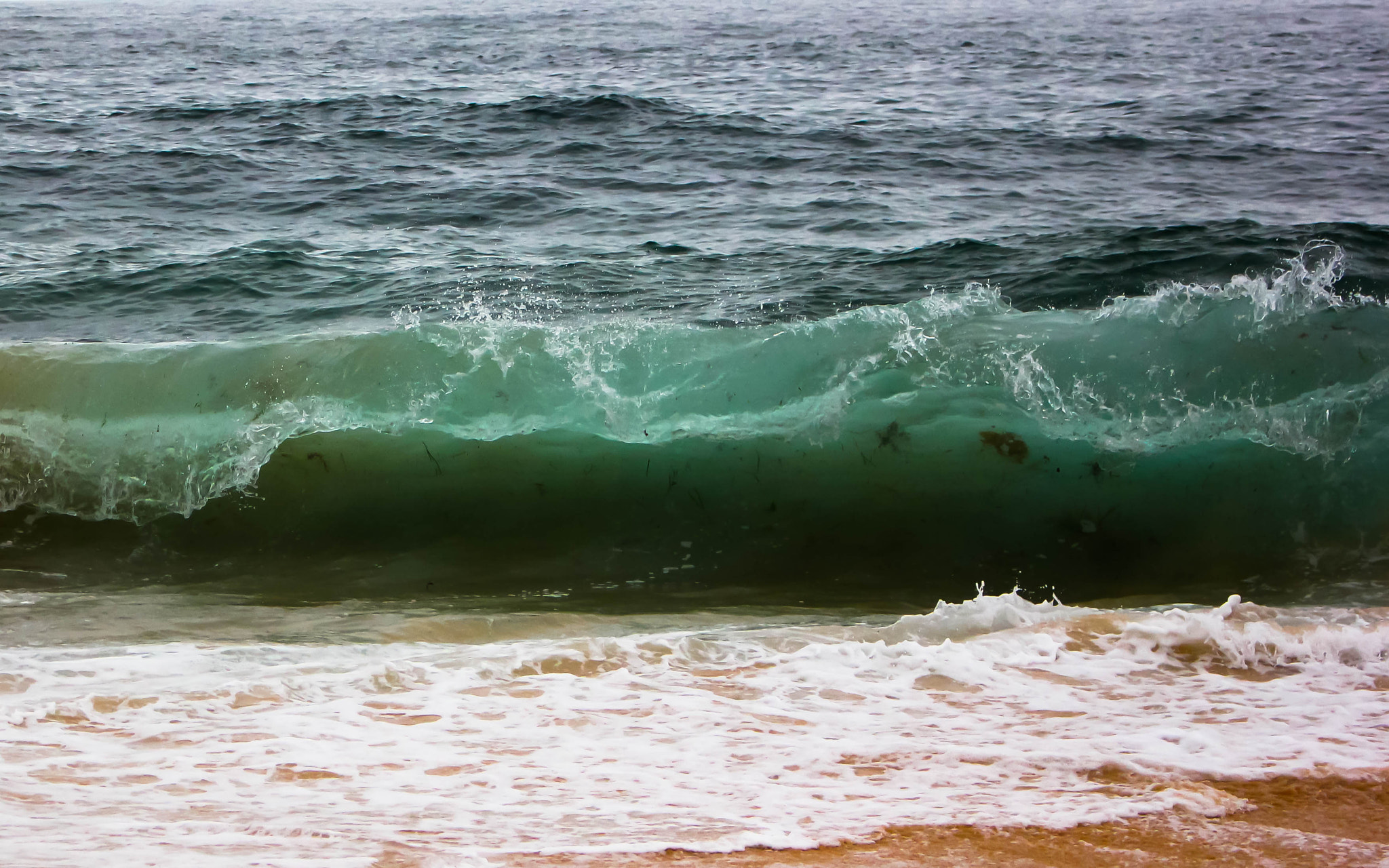 Canon EOS 60D sample photo. Dirty green. photography
