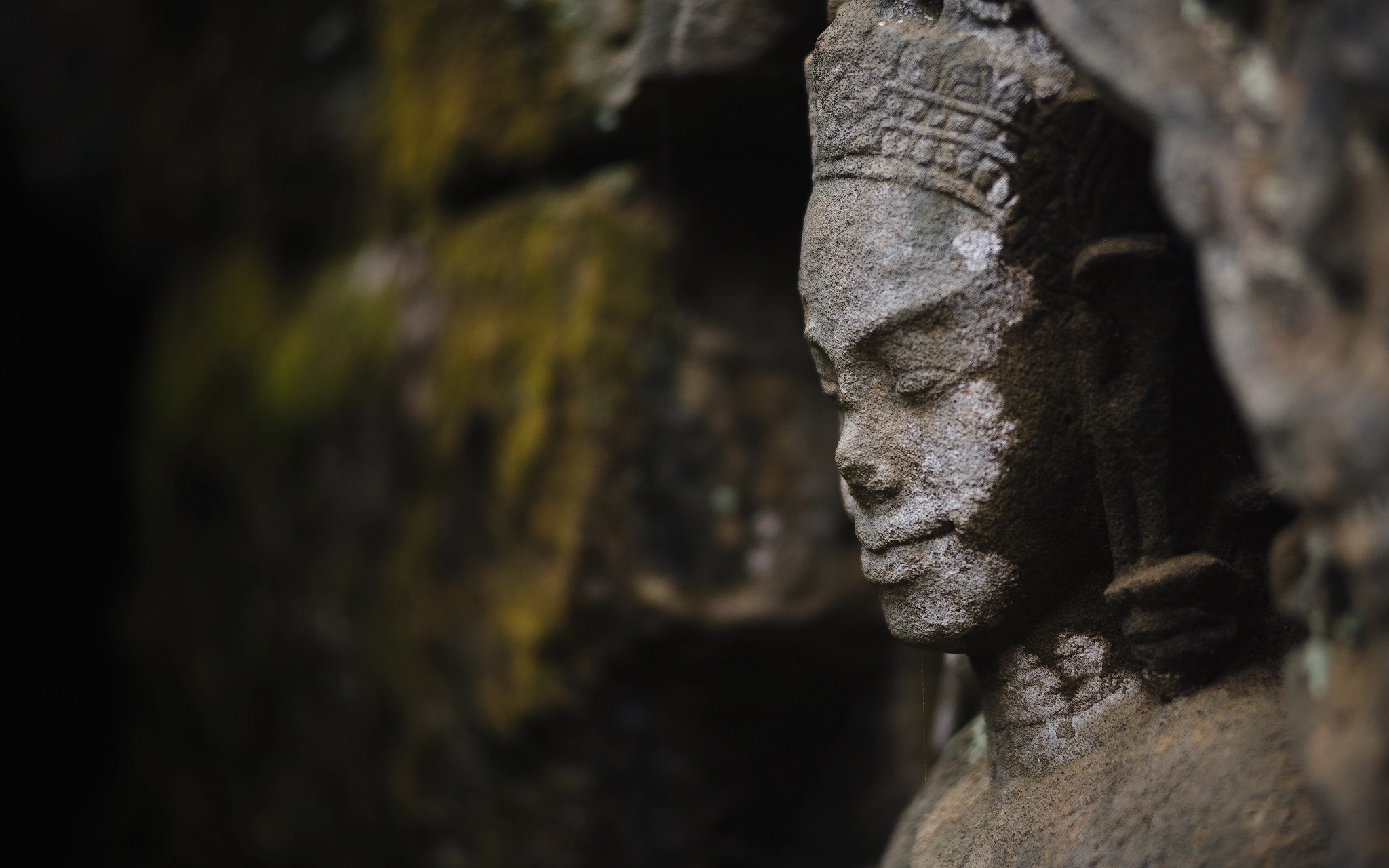 Nikon AF-Nikkor 80-200mm F2.8D ED sample photo. In the mood for discovery photography
