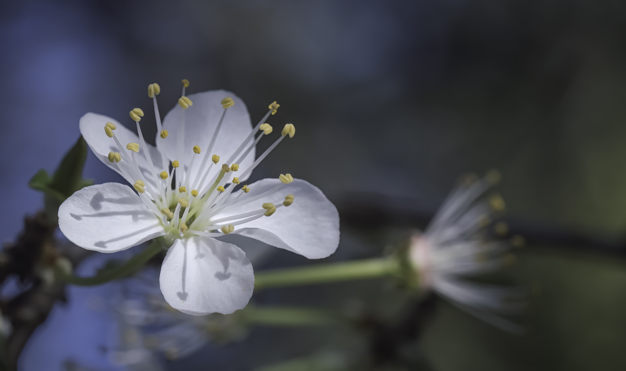 Nikon D3200 sample photo. Early spring photography