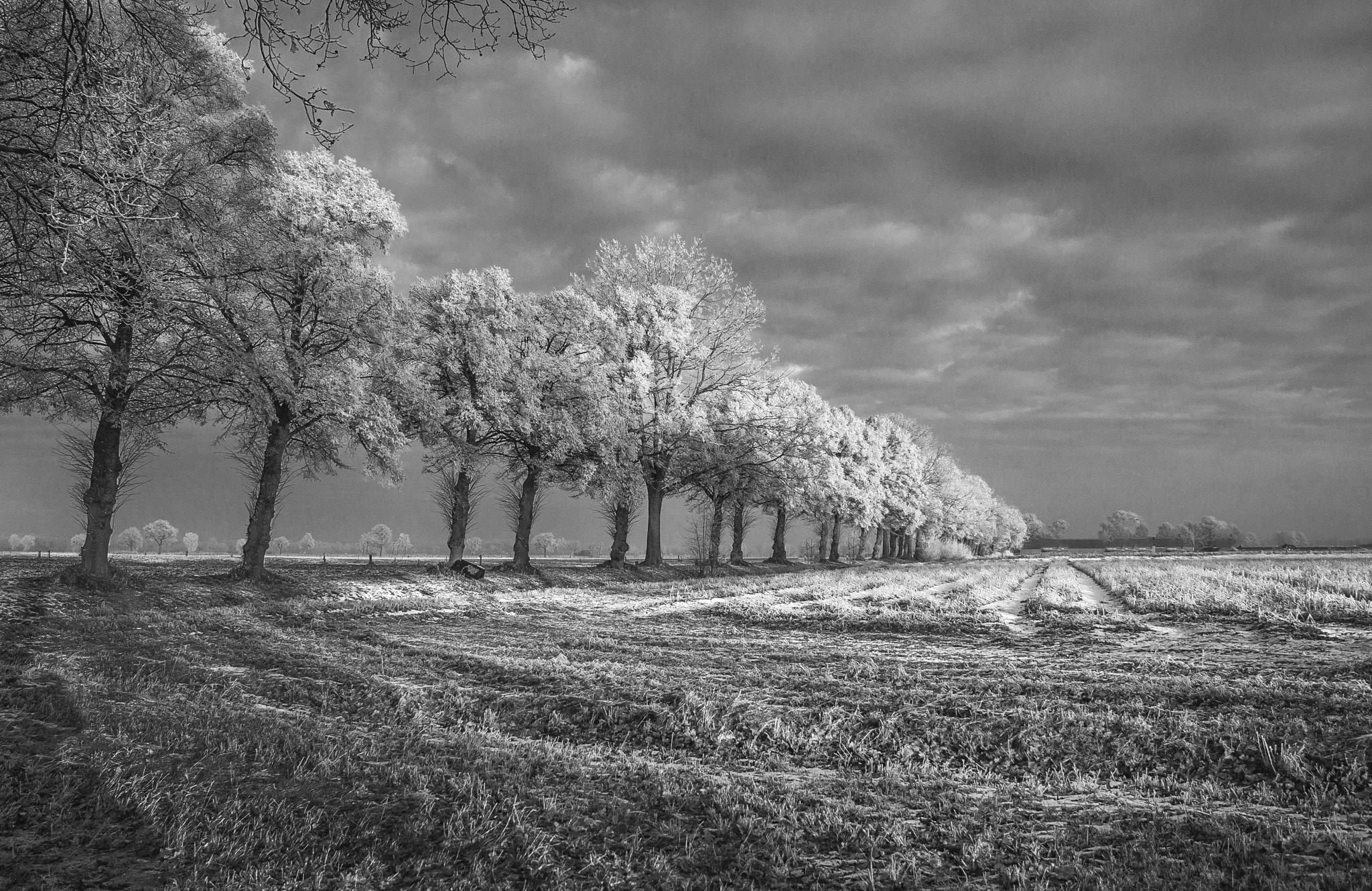 Canon EF-S 18-135mm F3.5-5.6 IS sample photo. Black and white morning photography