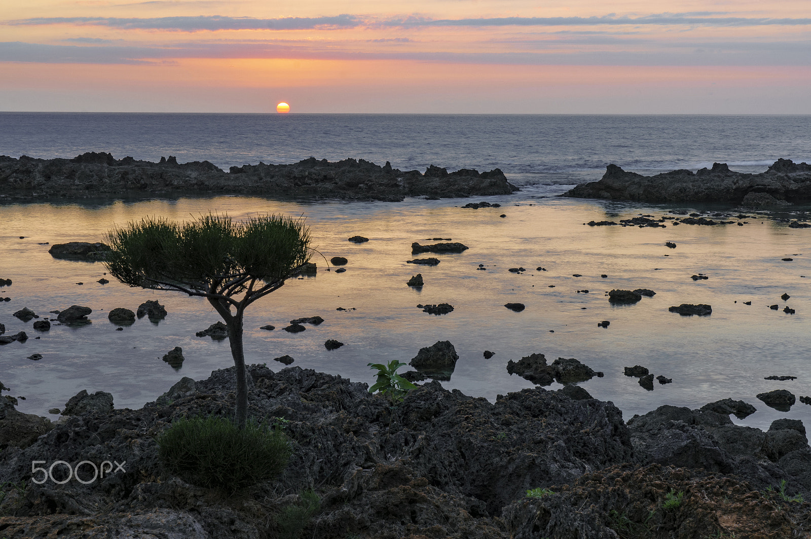 Sony Alpha NEX-5R + Sony E 18-55mm F3.5-5.6 OSS sample photo. Tidepool sunset at shark's cove photography